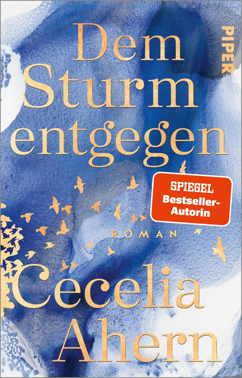 Cover: Dem Sturm entgegen (Taschenbuch) von Cecelia Ahern