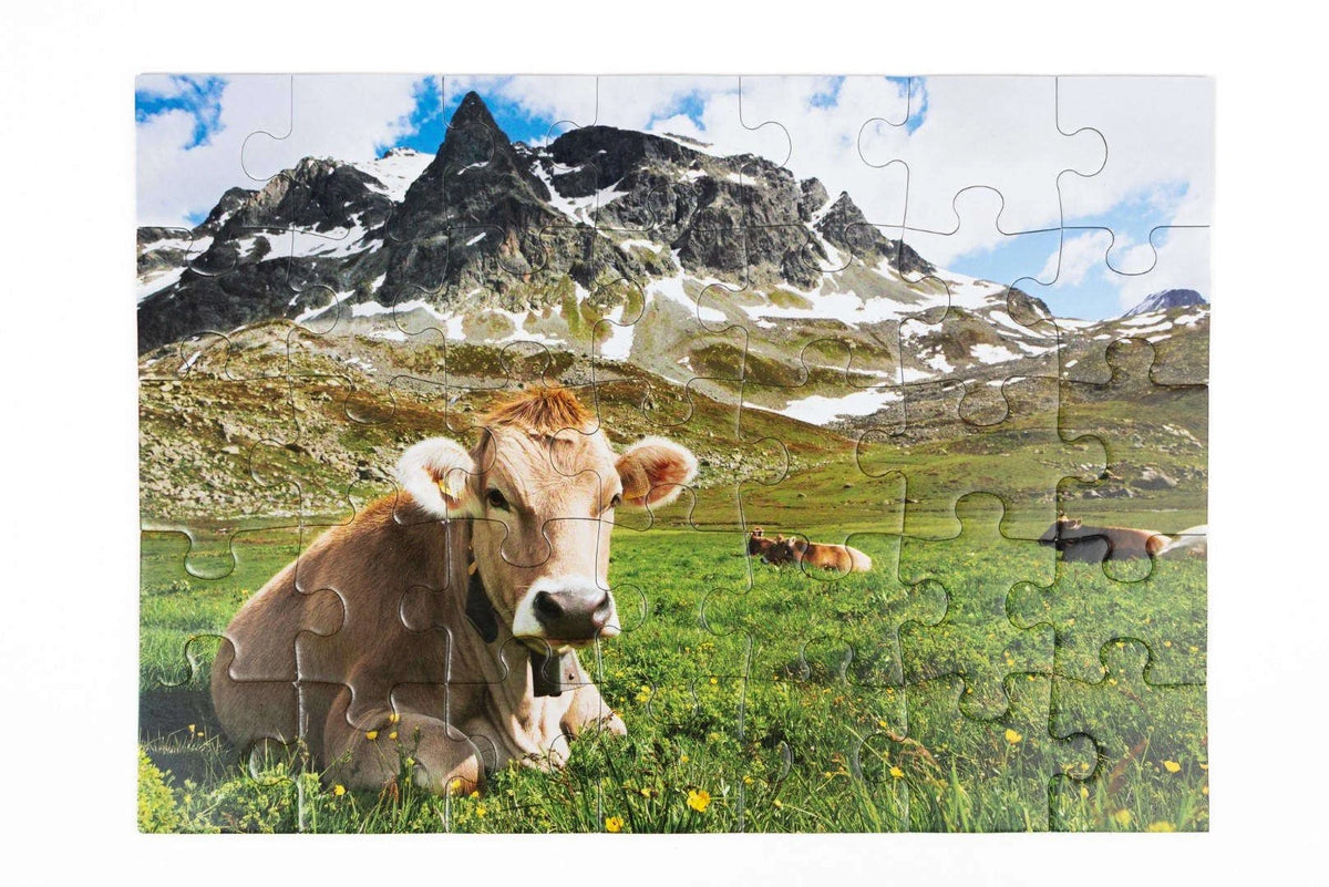 Demenz-Puzzle: Alpen. Das Demenz-Puzzle-Spiel mit 35 Puzzle-Teilen im XXL-Format. – Ansicht