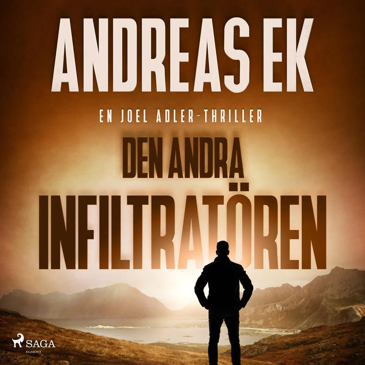 Cover: Den andra infiltratören (Hörbuch Download) von Andreas Ek
