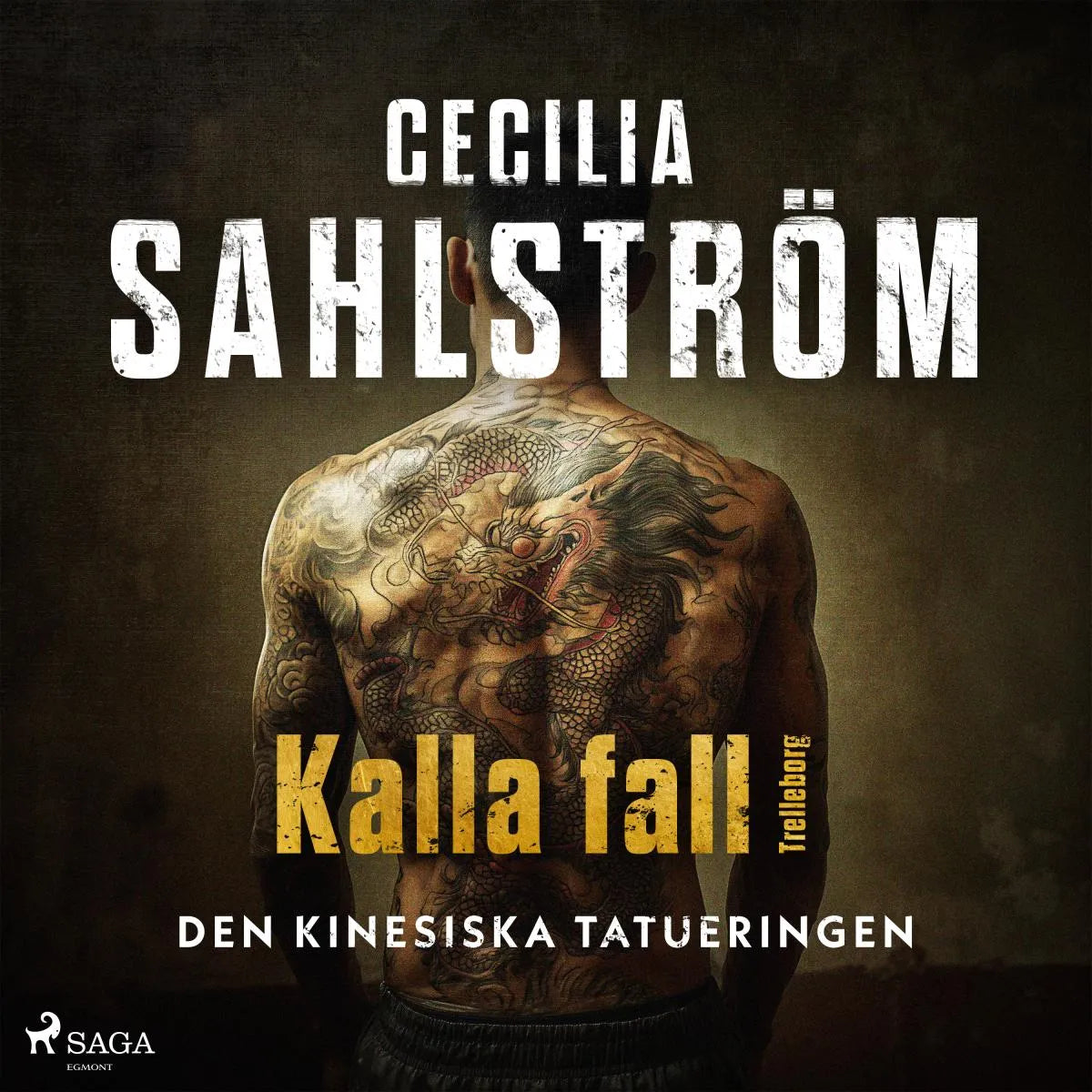 Cover: Den kinesiska tatueringen (Hörbuch Download) von Cecilia Sahlström