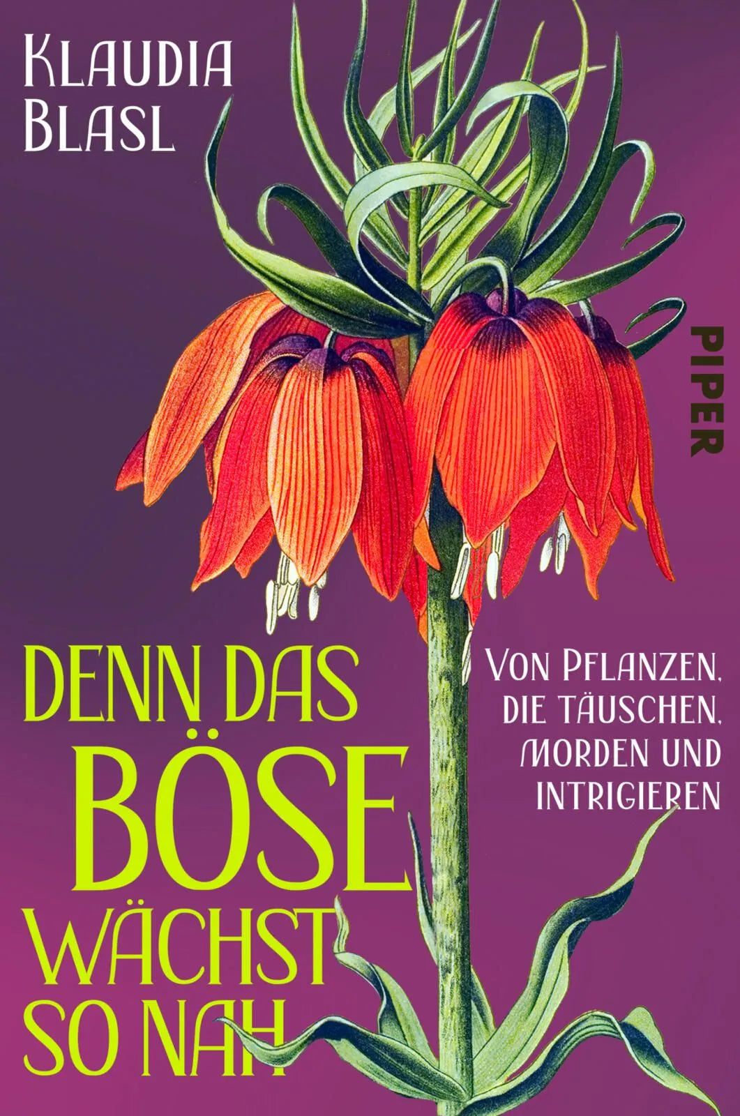 Cover: Denn das Böse wächst so nah (Paperback) von Klaudia Blasl