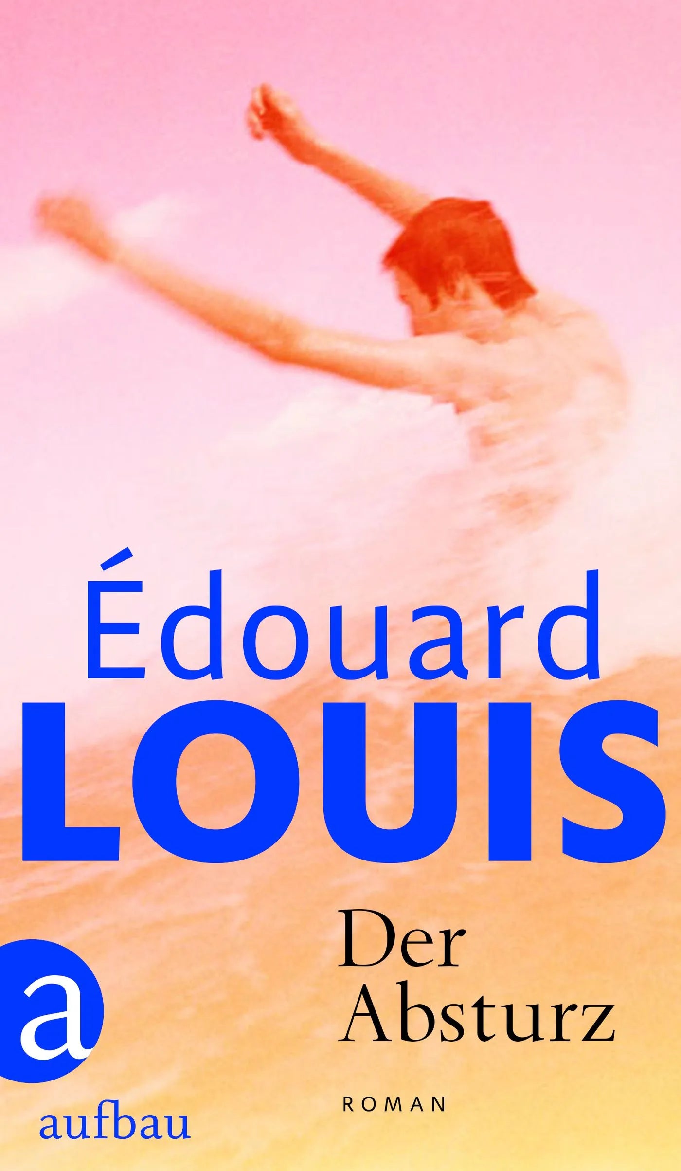 Cover: Der Absturz (Hardcover) von Édouard Louis