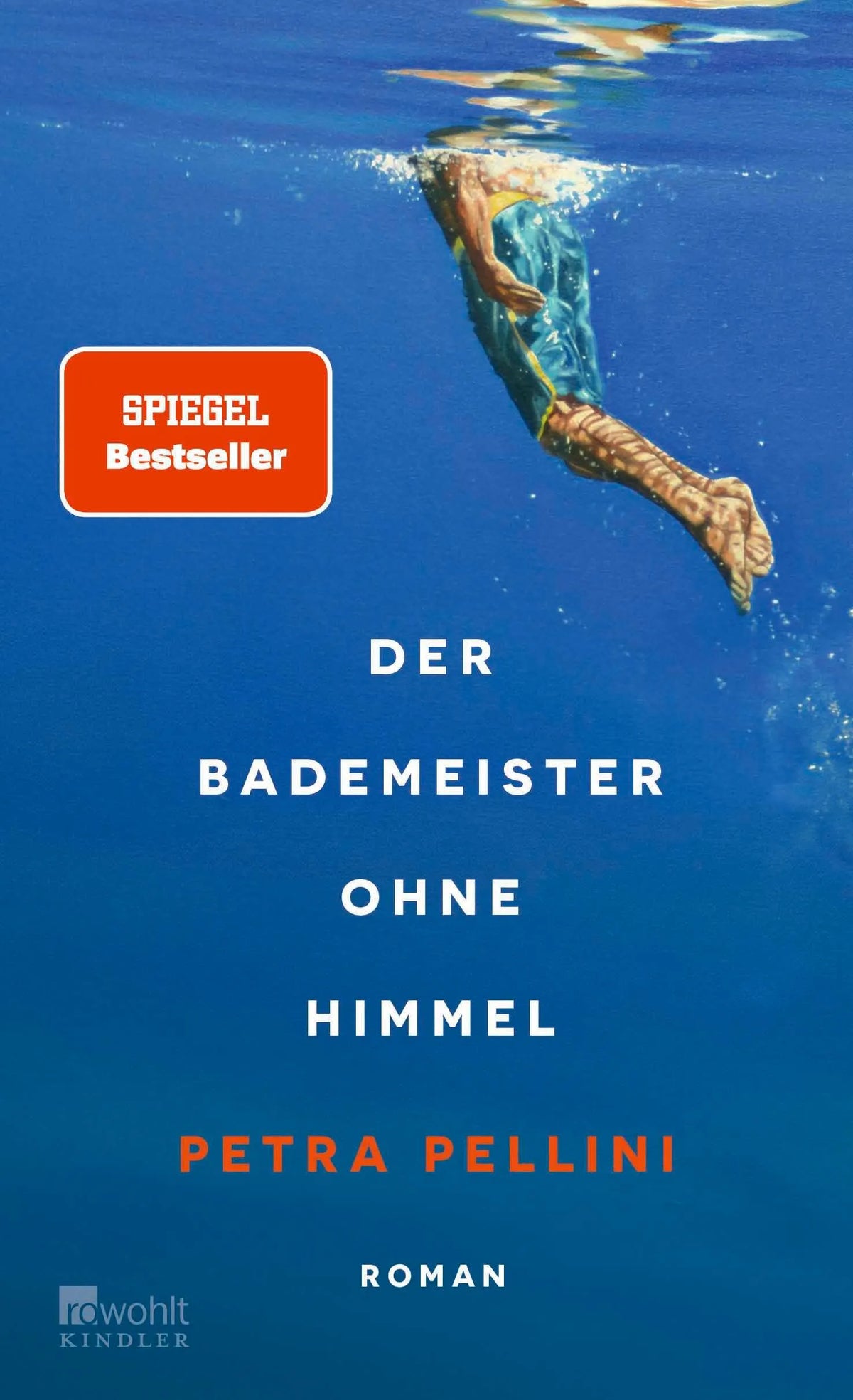 Cover: Der Bademeister ohne Himmel (Hardcover) von Petra Pellini