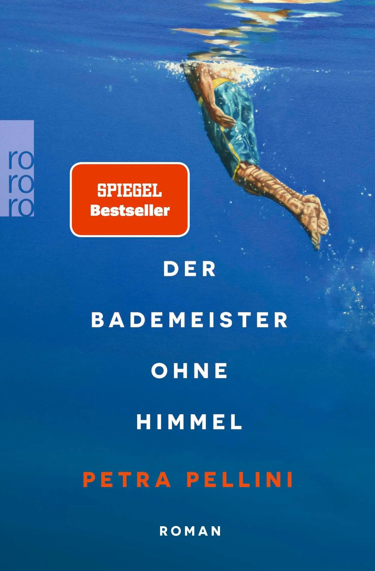 Cover: Der Bademeister ohne Himmel (Taschenbuch) von Petra Pellini