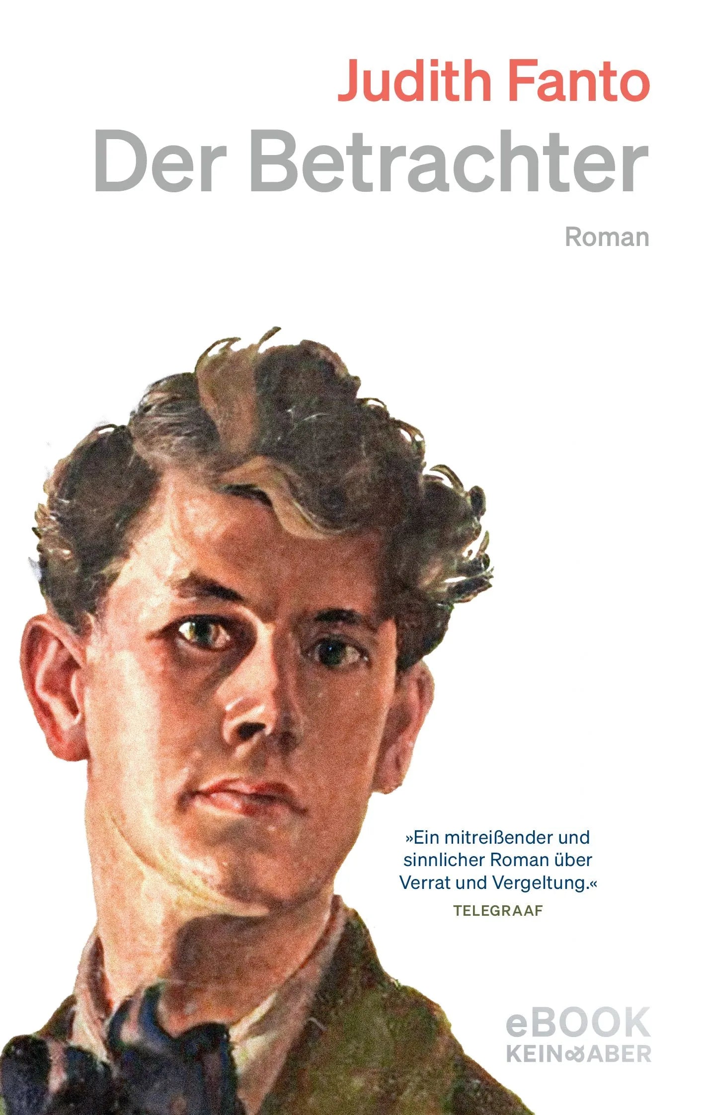 Cover: Der Betrachter (E-Book) von Judith Fanto