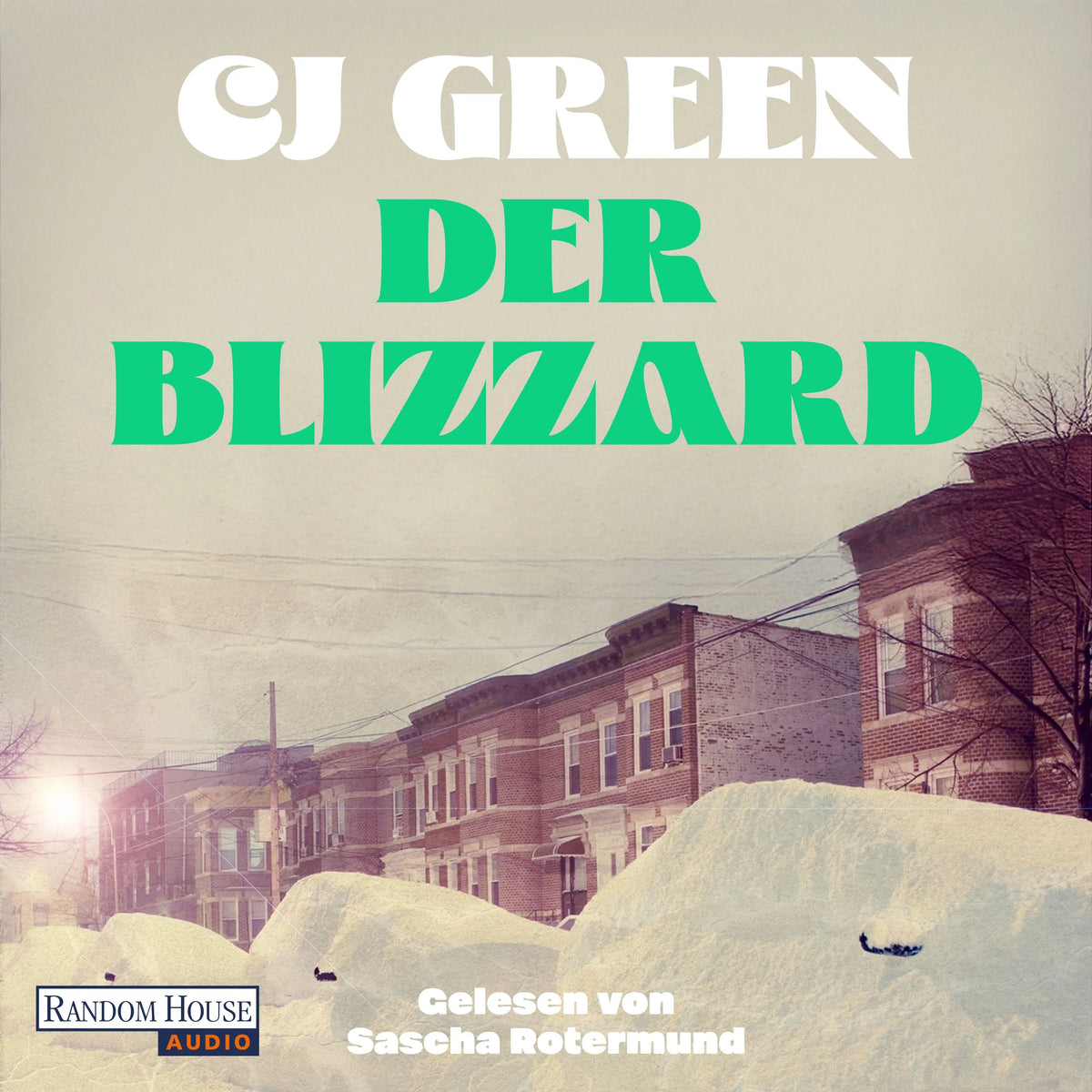 Cover: Der Blizzard (Hörbuch Download) von CJ Green