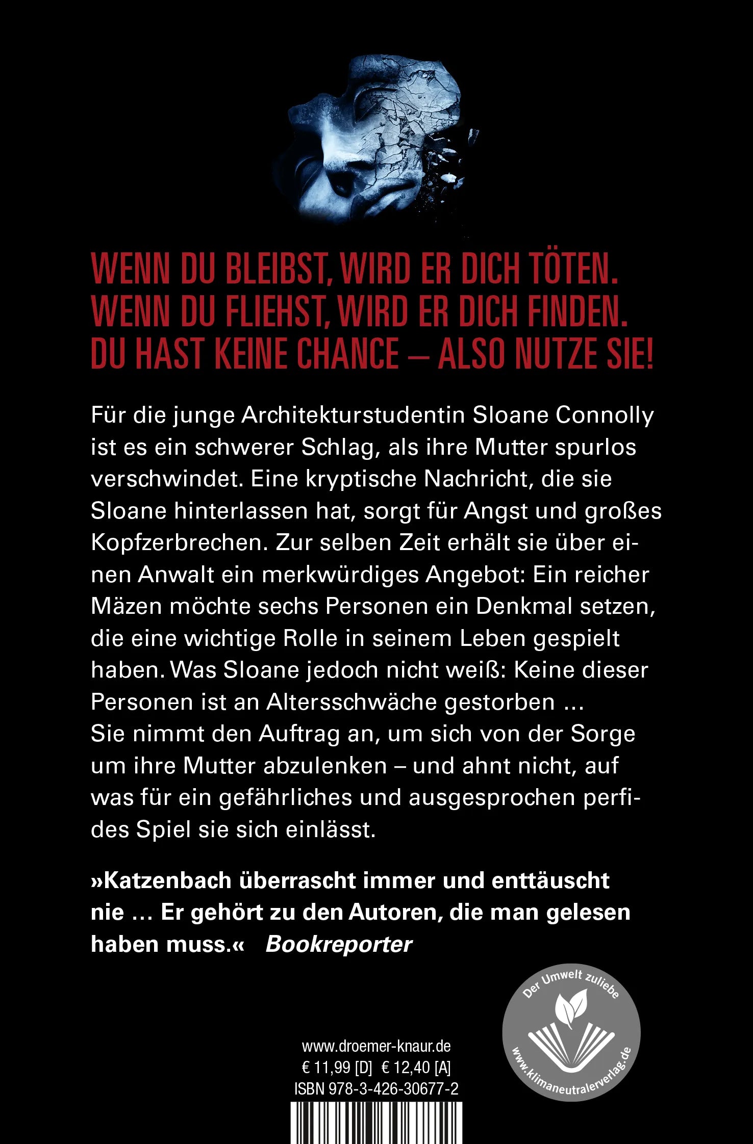 Buchrückseite von 'Der Bruder' mit Klappentext - Taschenbuch