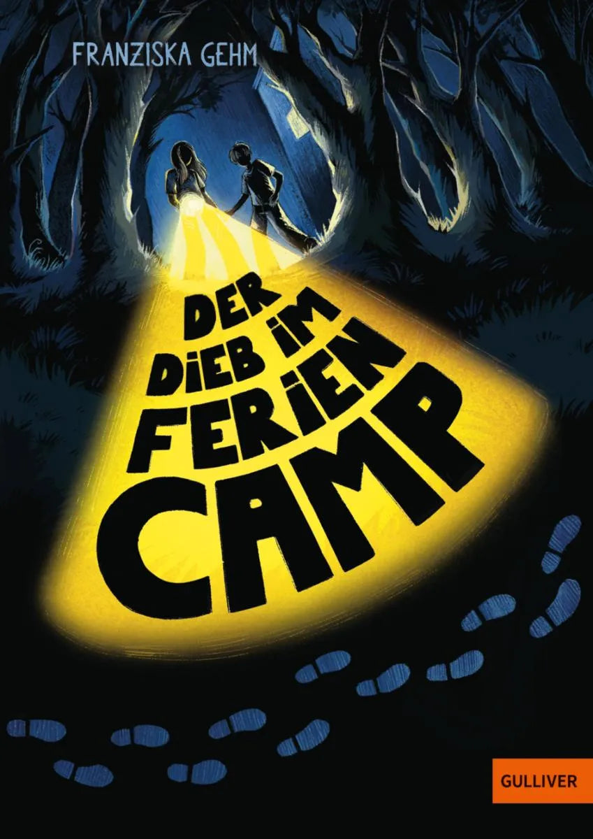 Cover: Der Dieb im Feriencamp (E-Book) von Franziska Gehm