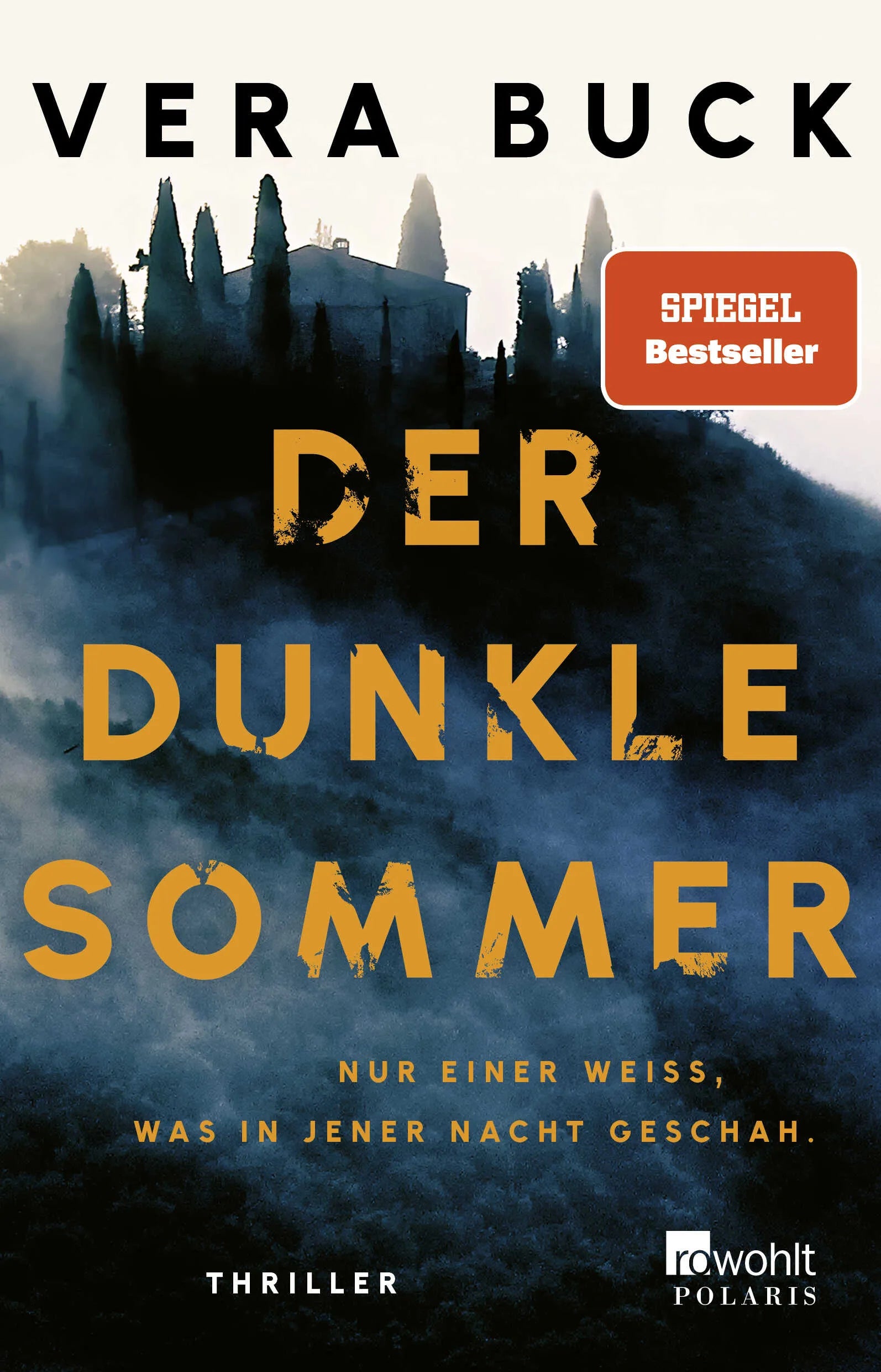 Cover: Der dunkle Sommer (Paperback) von Vera Buck