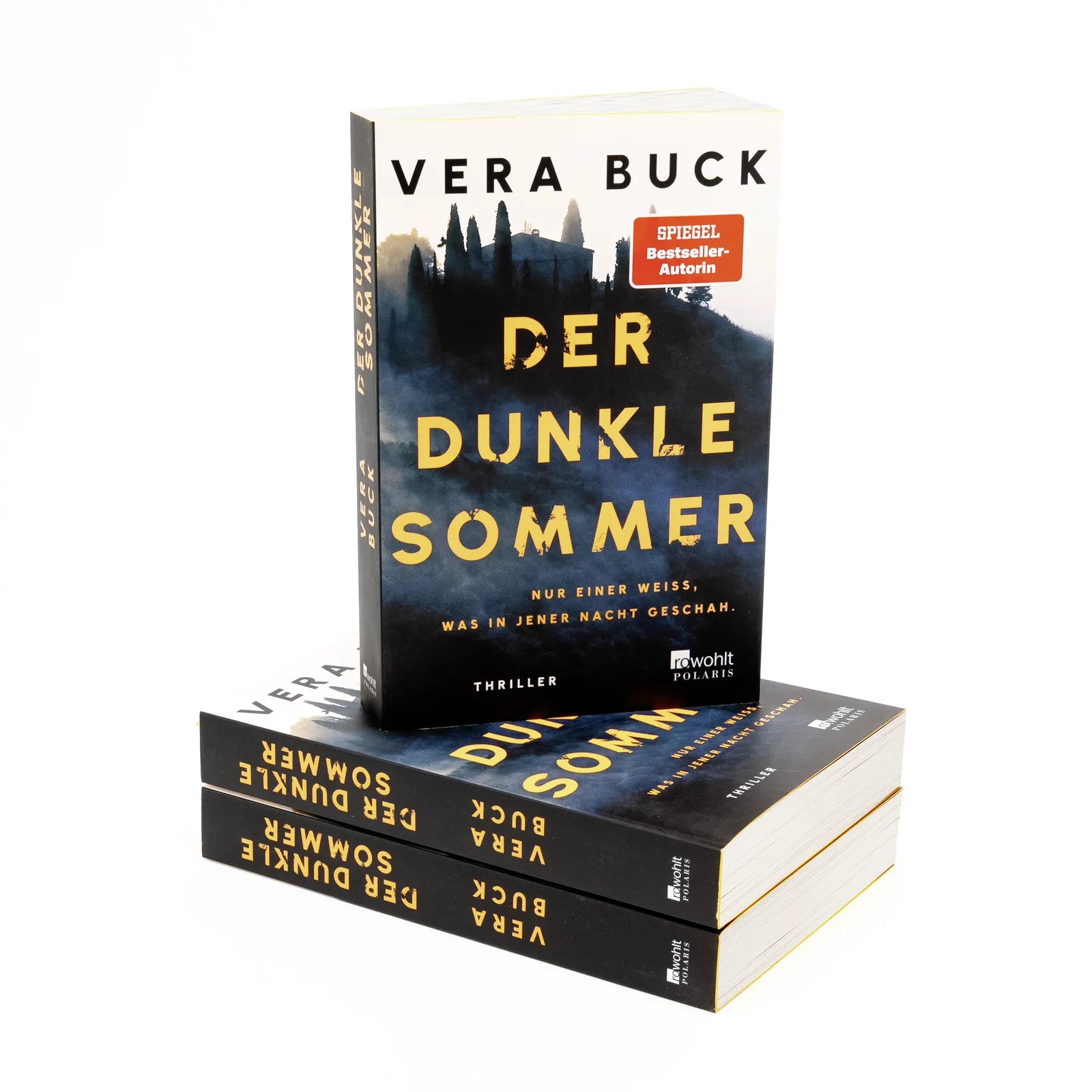 Detailansicht: Der dunkle Sommer (Paperback)