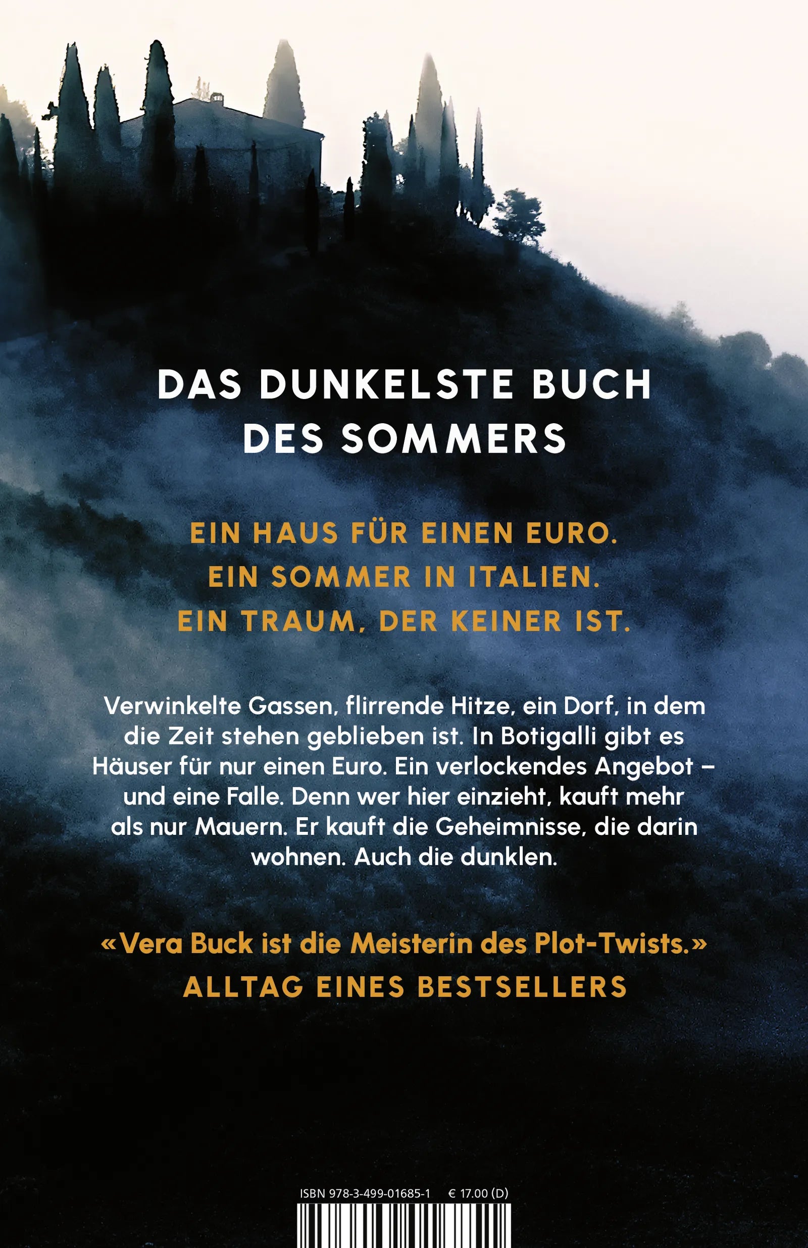 Rückseite: Der dunkle Sommer (Paperback)