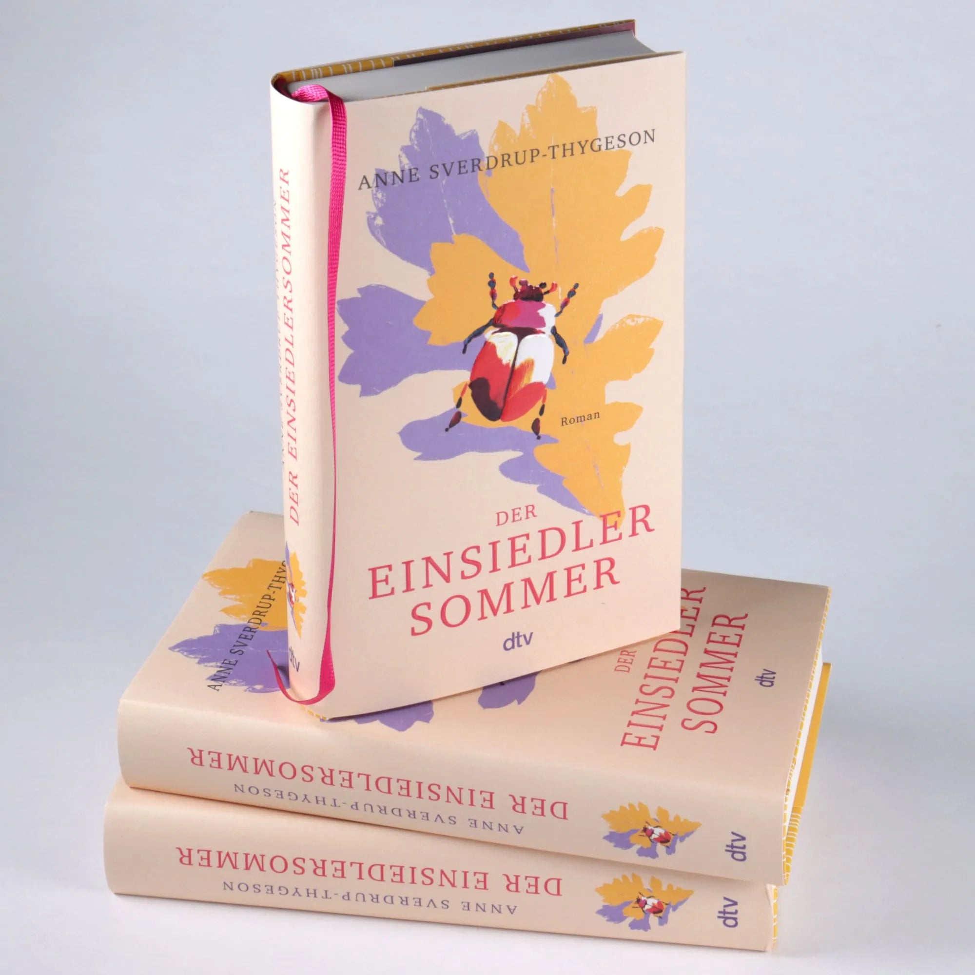 Detailansicht: Der Einsiedlersommer (Hardcover)