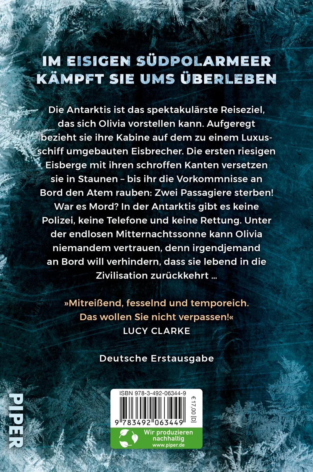 Buchrückseite von 'Der Eisbrecher' mit Klappentext - Paperback