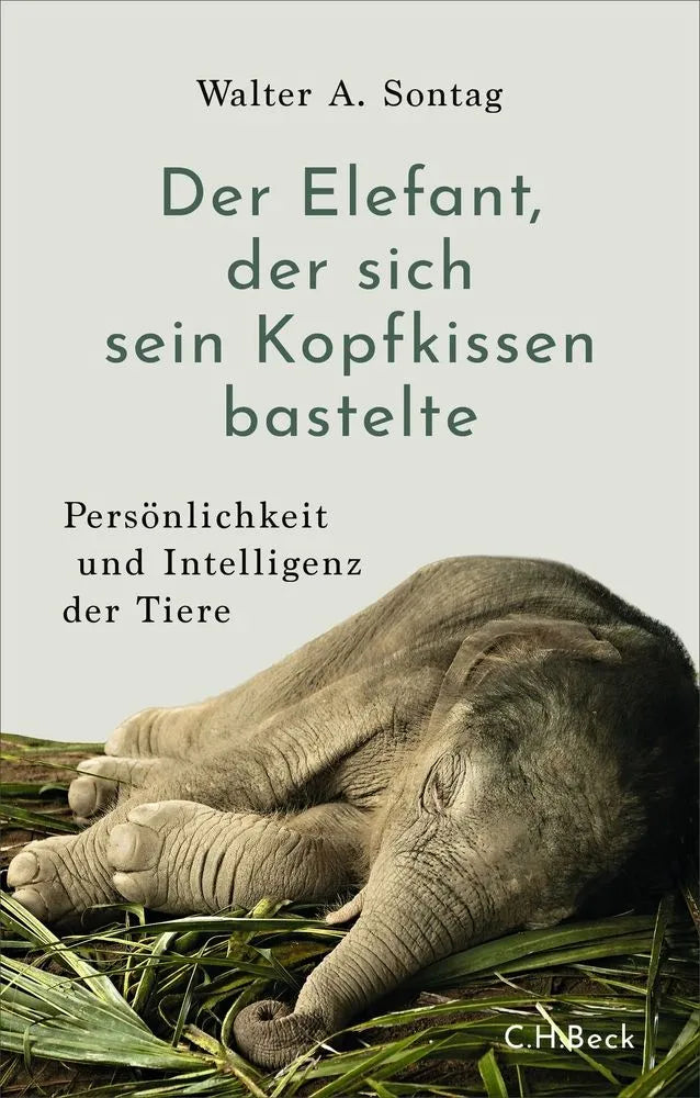 Cover: Der Elefant, der sich sein Kopfkissen bastelte (E-Book) von Walter A. Sontag