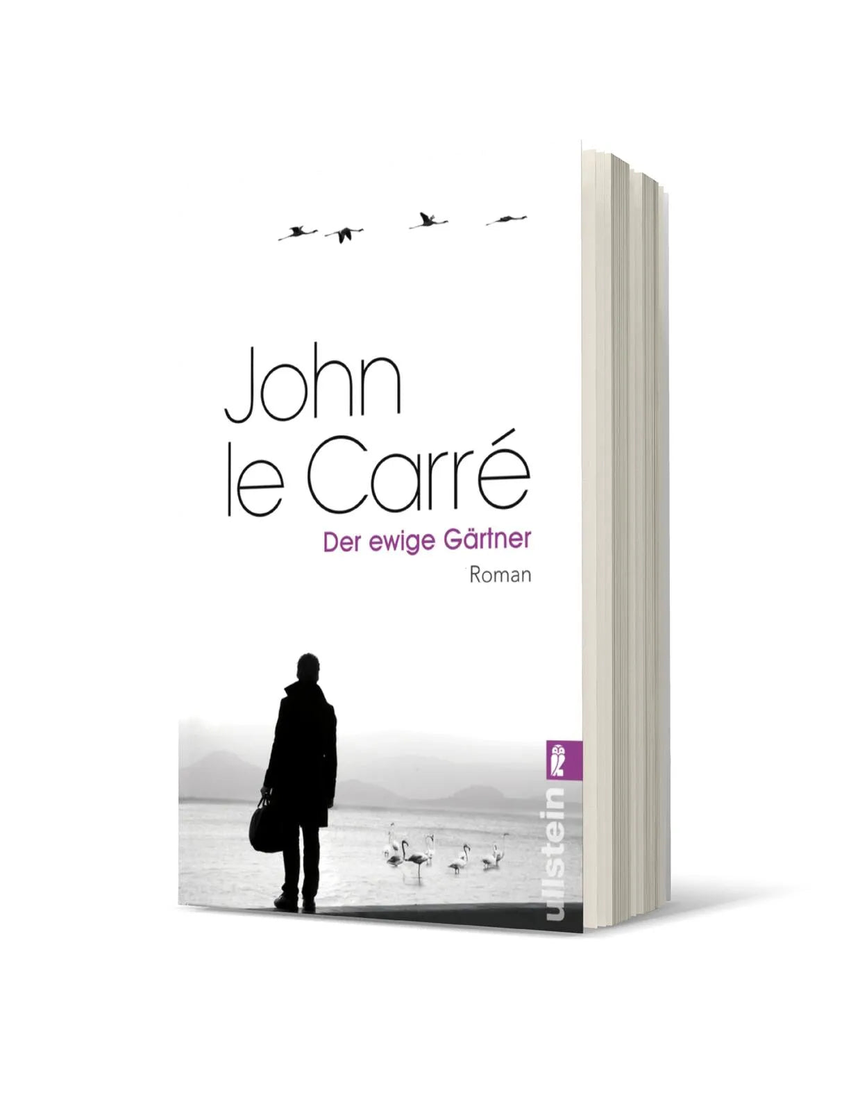 Produktansicht: Der ewige Gärtner (Taschenbuch)