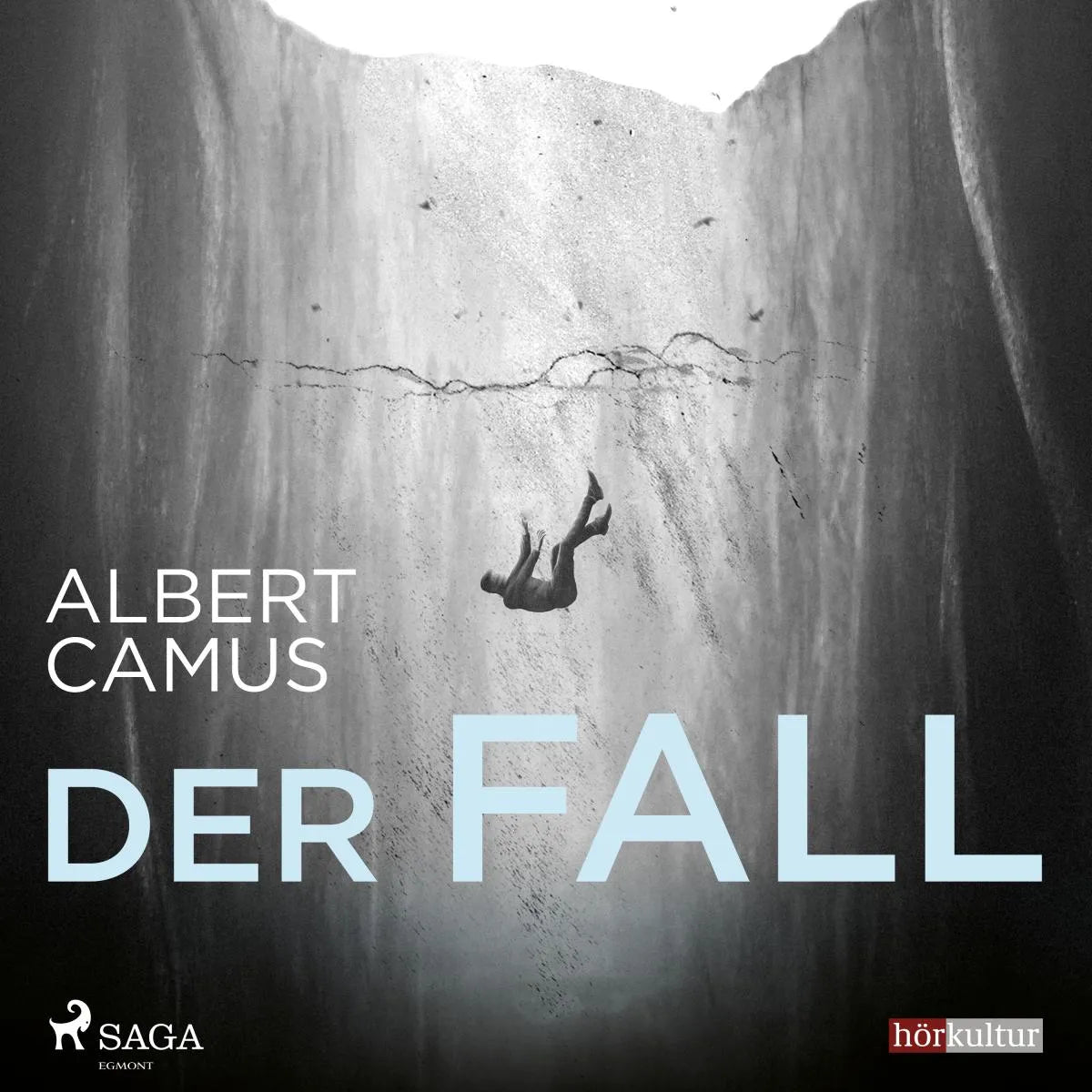 Cover: Der Fall (Hörbuch Download) von Albert Camus