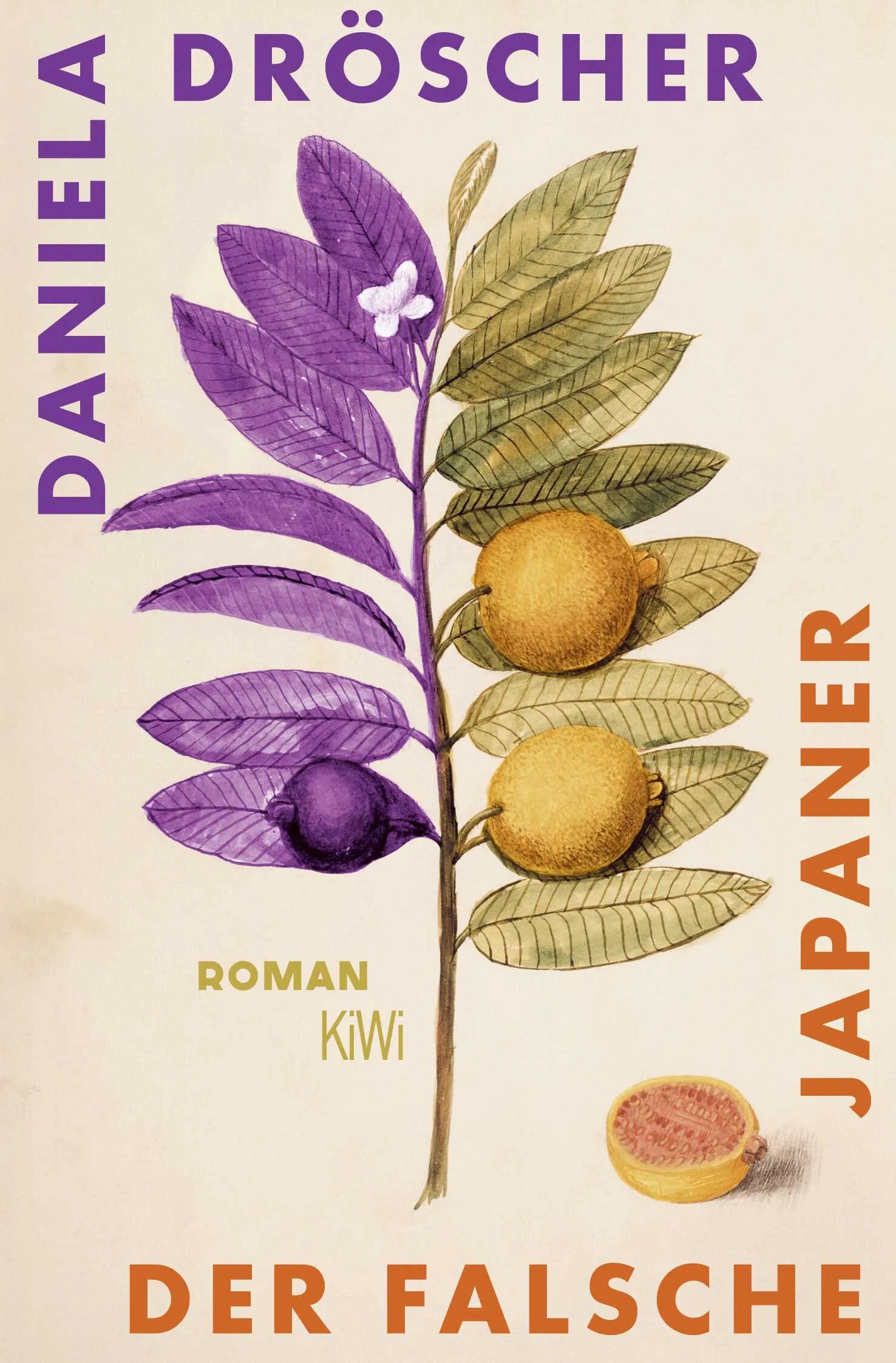 Buchcover von 'Der falsche Japaner' - Taschenbuch von Daniela Dröscher