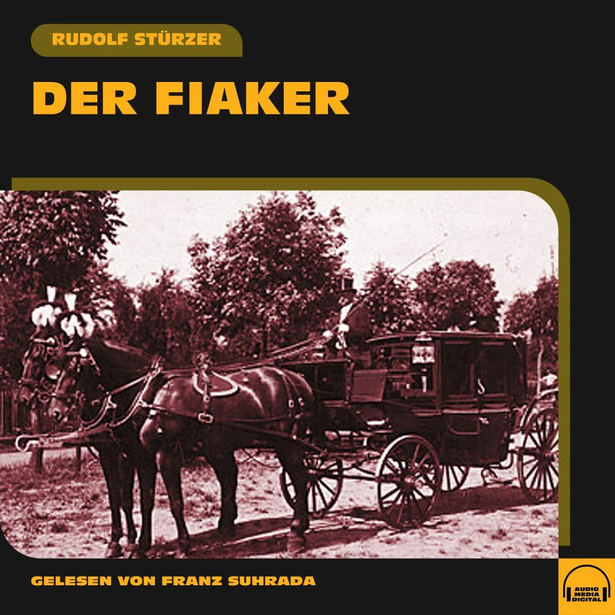 Cover: Der Fiaker (Hörbuch Download) von Rudolf Stürzer