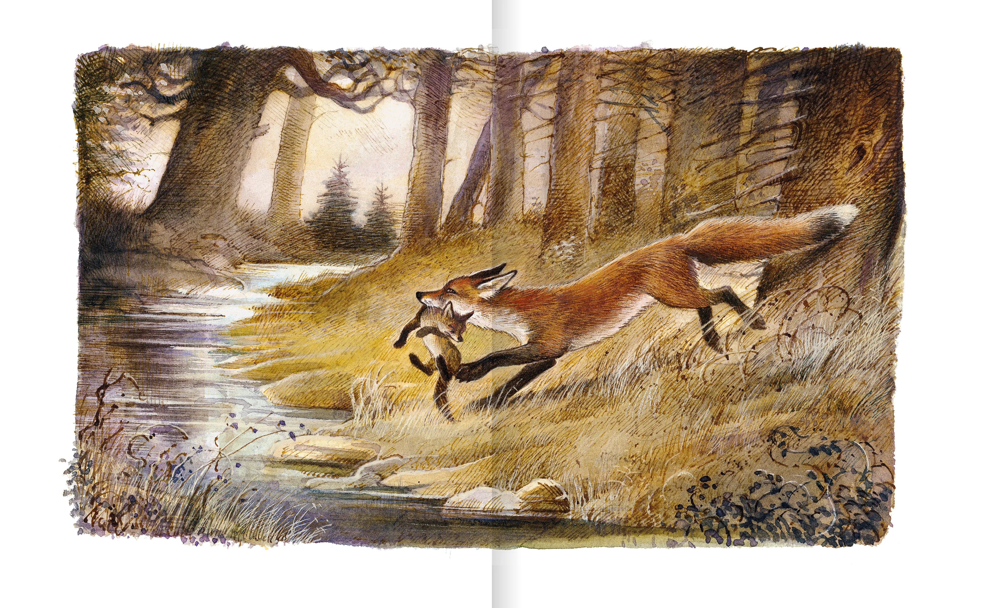 Produktansicht: Der Findefuchs (Gebundene Ausgabe)