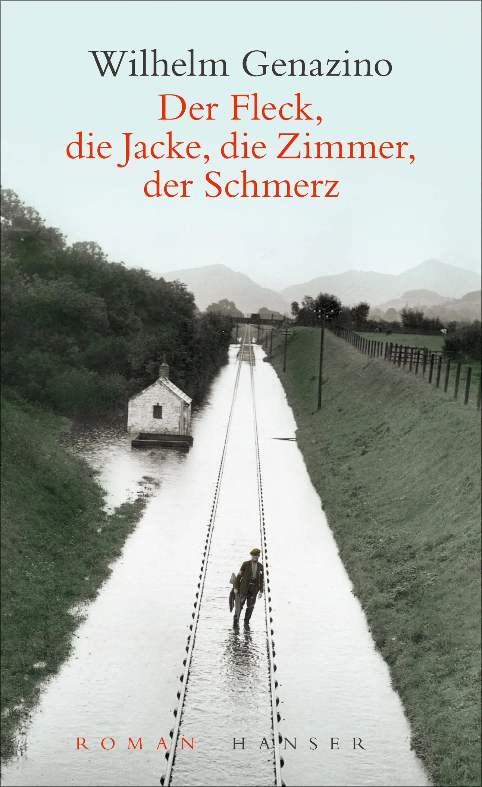 Buchcover von 'Der Fleck, die Jacke, die Zimmer, der Schmerz' - Gebundene Ausgabe von Wilhelm Genazino