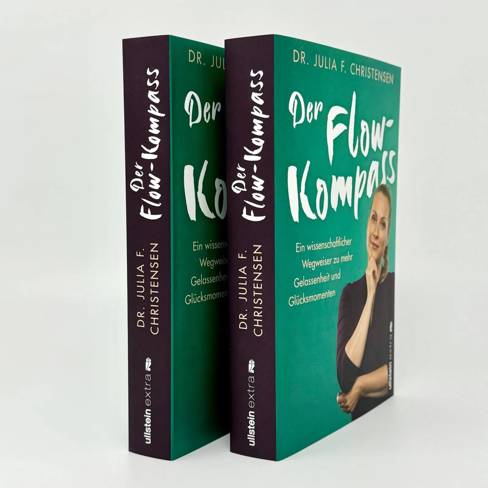 Abbildung von 'Der Flow-Kompass'