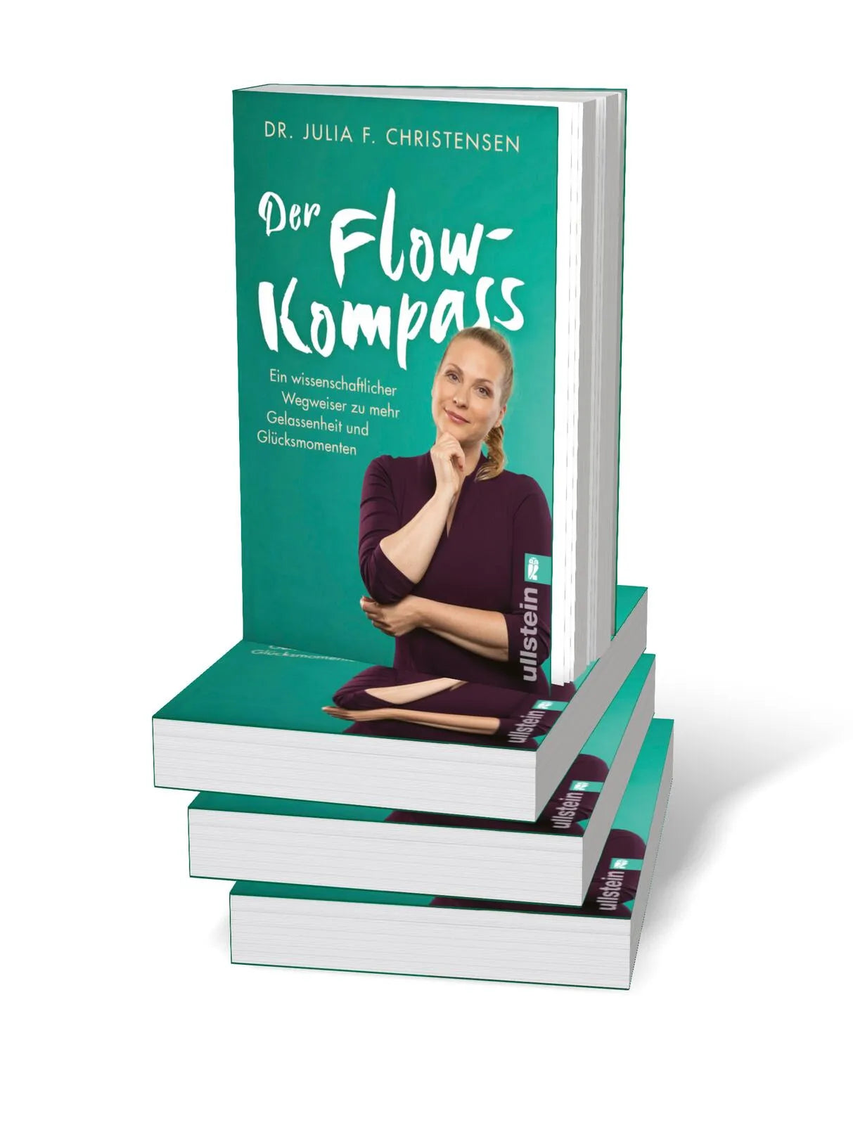 Produktansicht: Der Flow-Kompass (Taschenbuch)
