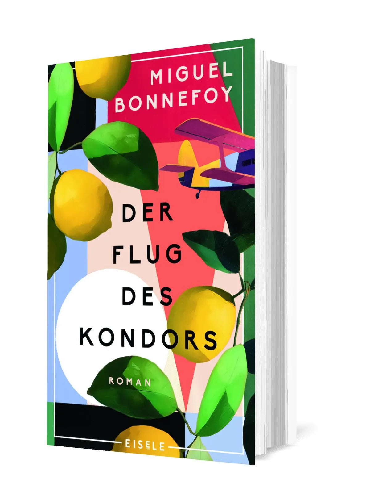 Detailansicht: Der Flug des Kondors (Hardcover)