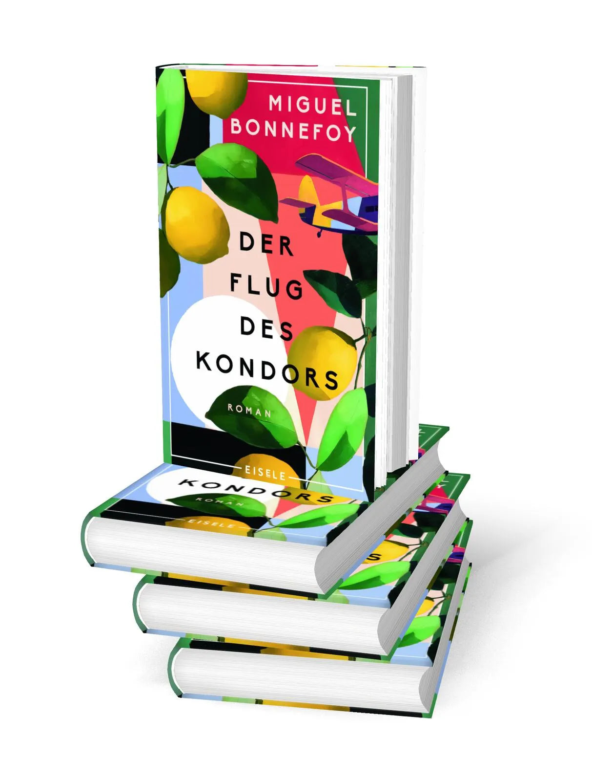 Detailansicht: Der Flug des Kondors (Hardcover)