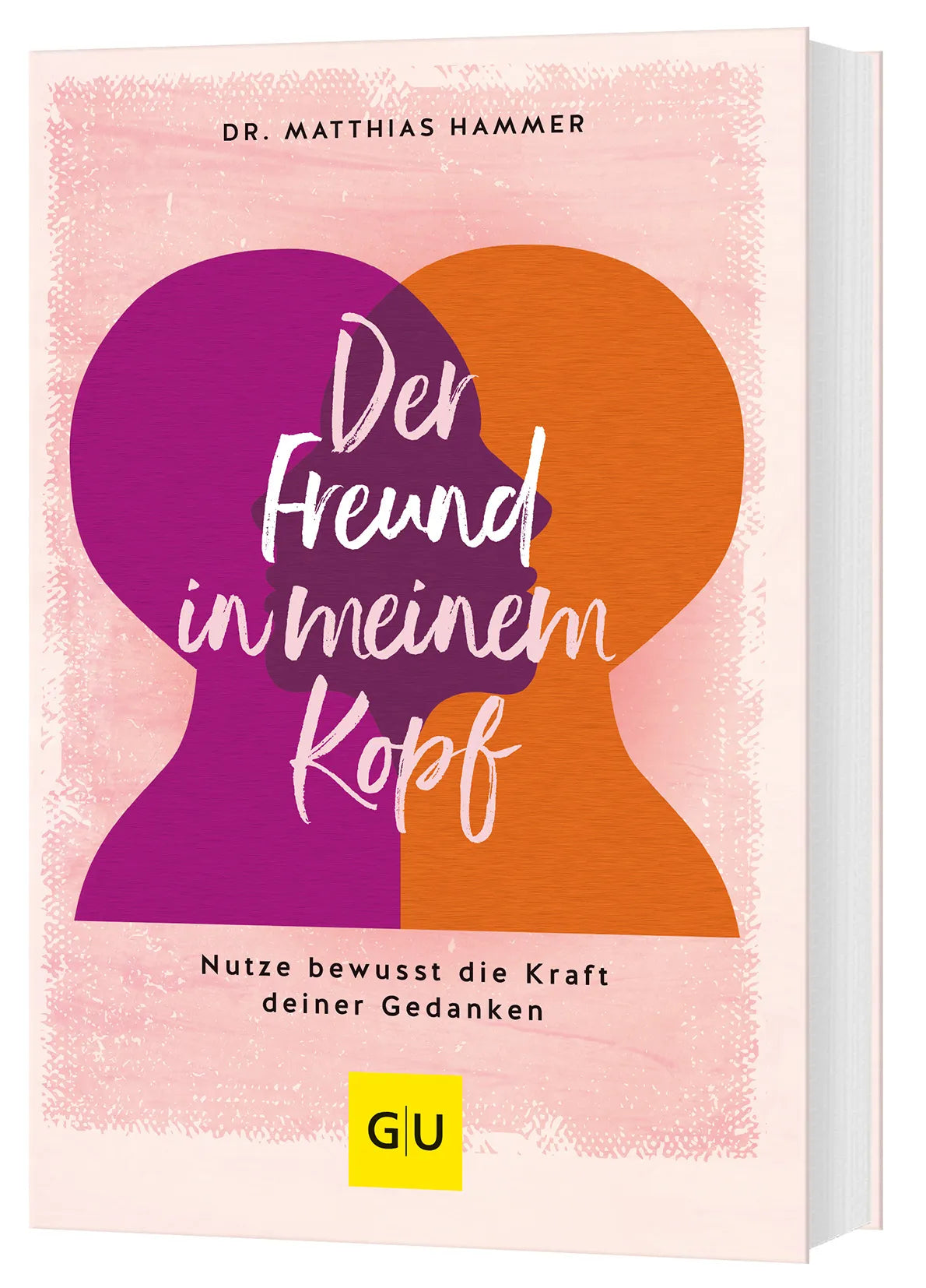 Buchcover von 'Der Freund in meinem Kopf' - Taschenbuch von Matthias Hammer