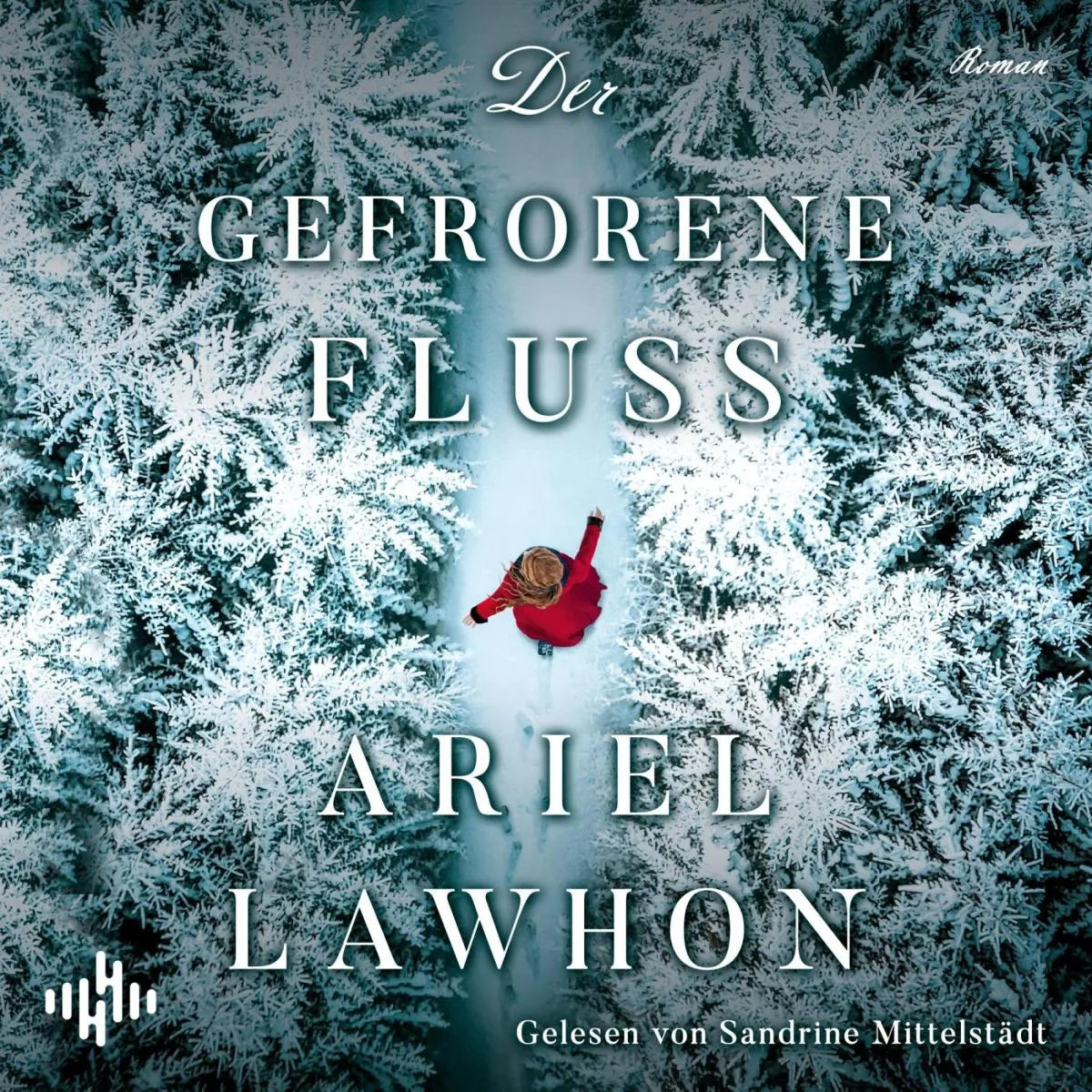 Cover: Der gefrorene Fluss (Hörbuch Download) von Ariel Lawhon