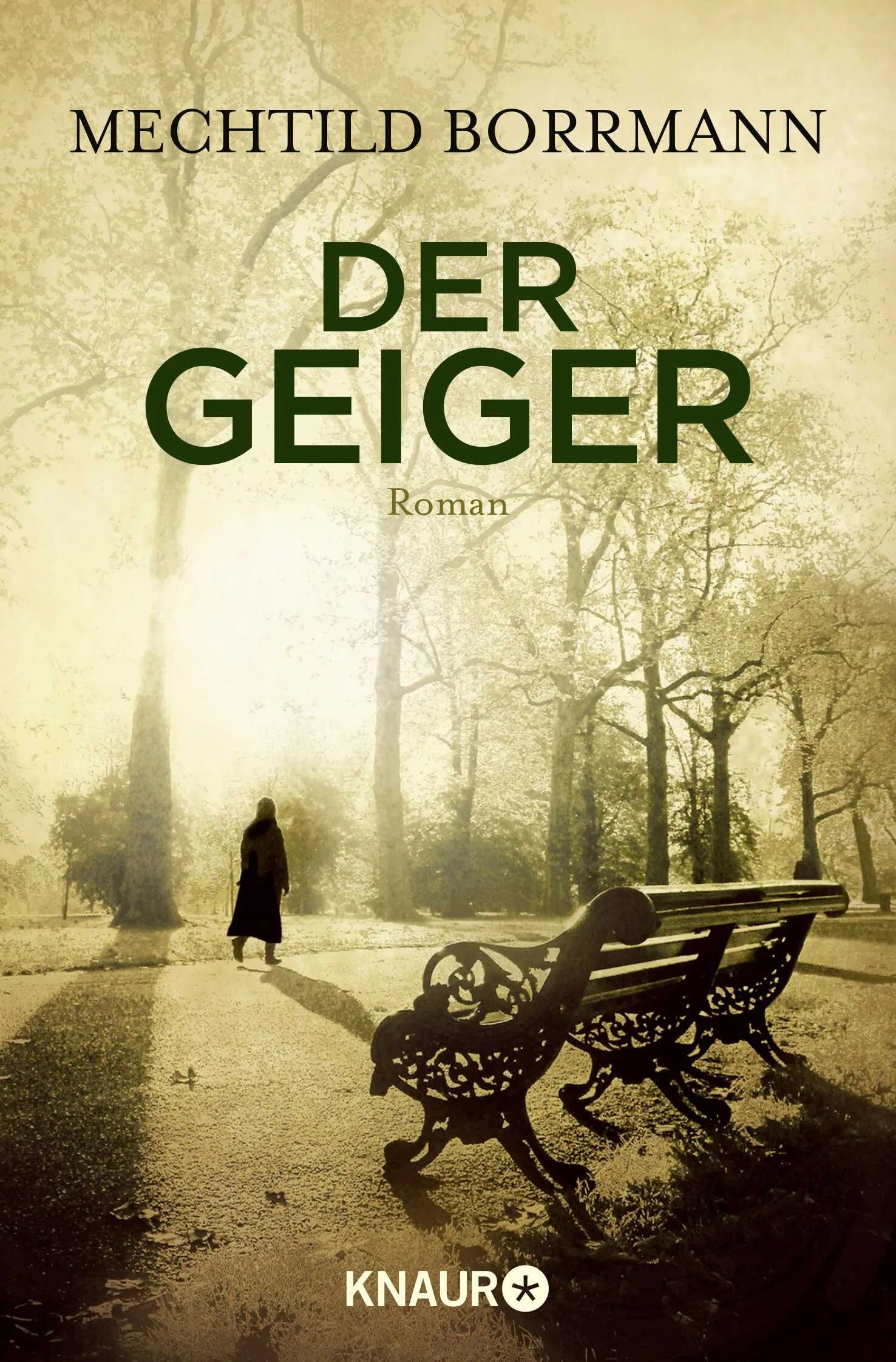 Buchcover von 'Der Geiger' - Taschenbuch von Mechtild Borrmann