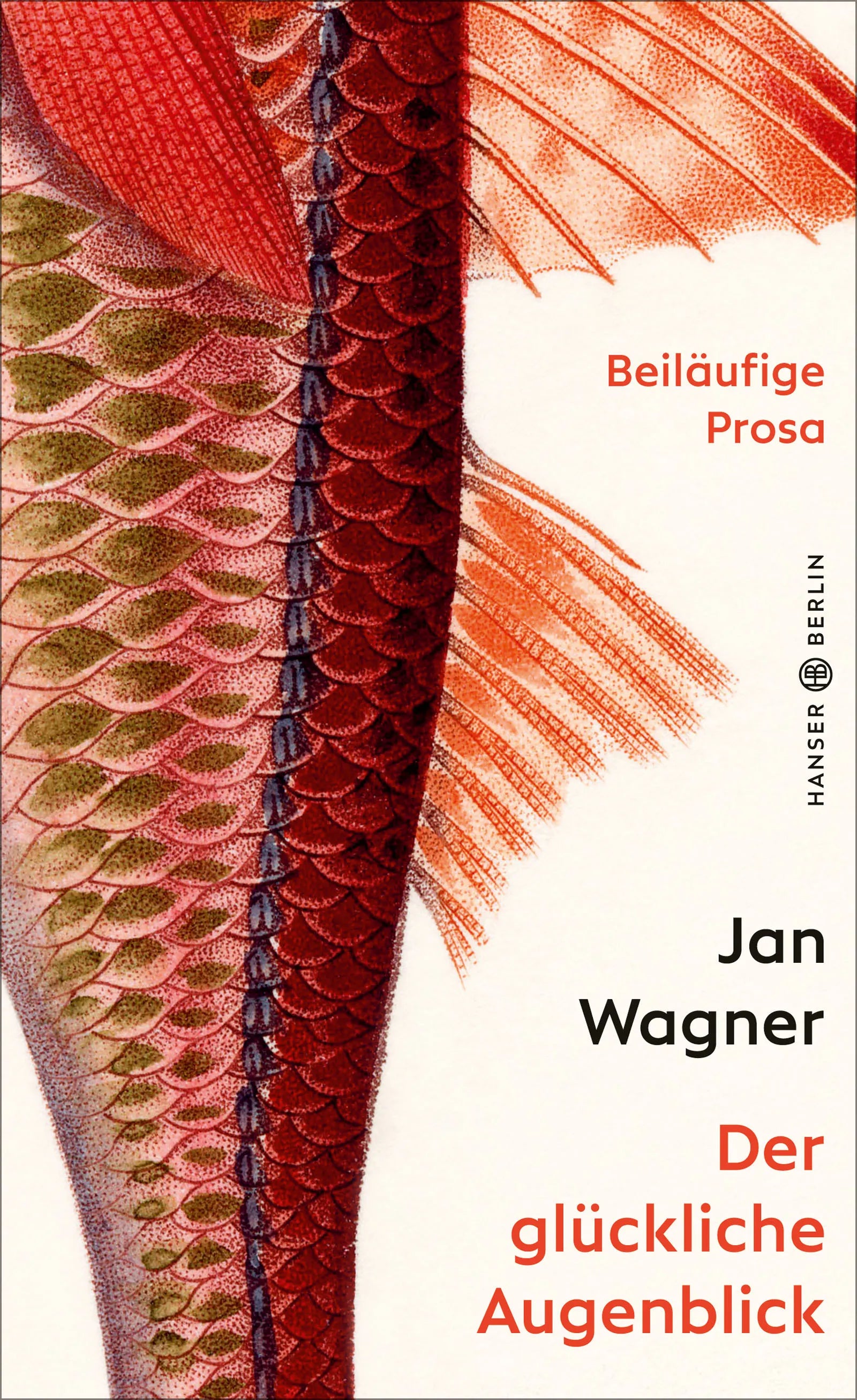 Buchcover von 'Der glückliche Augenblick' - Gebundene Ausgabe von Jan Wagner