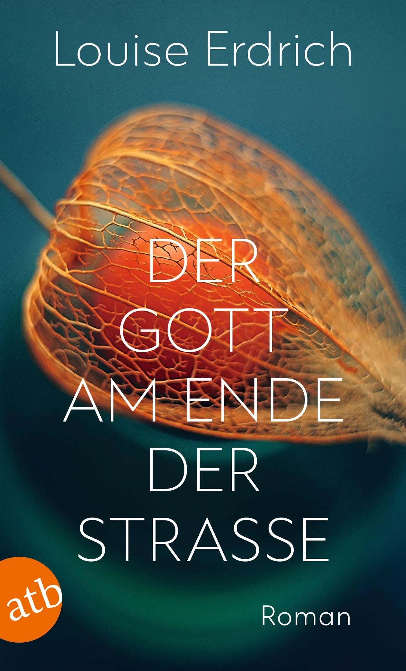Buchcover von 'Der Gott am Ende der Straße' - Taschenbuch von Louise Erdrich