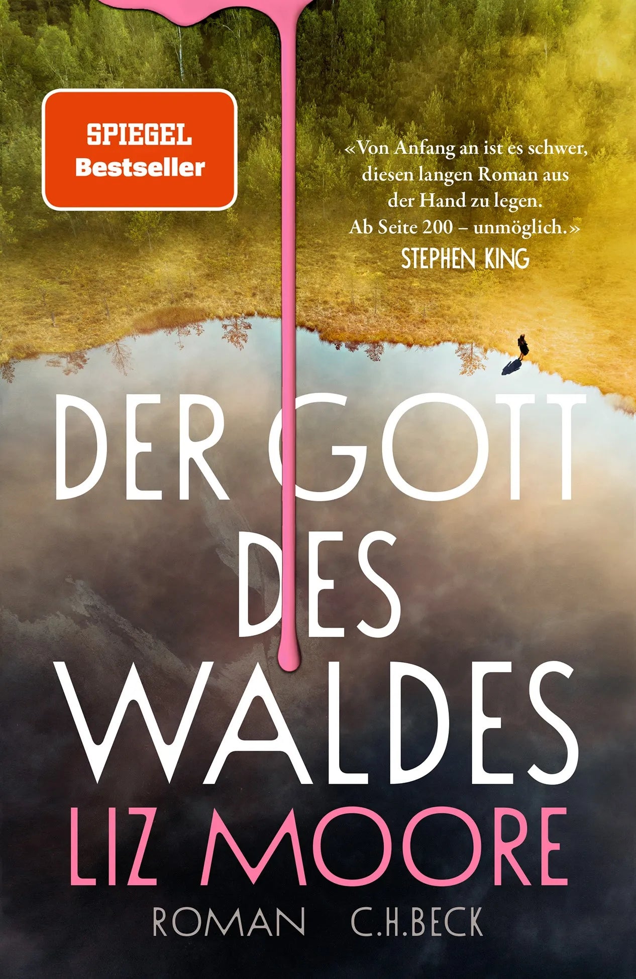 Cover: Der Gott des Waldes (Hardcover) von Liz Moore