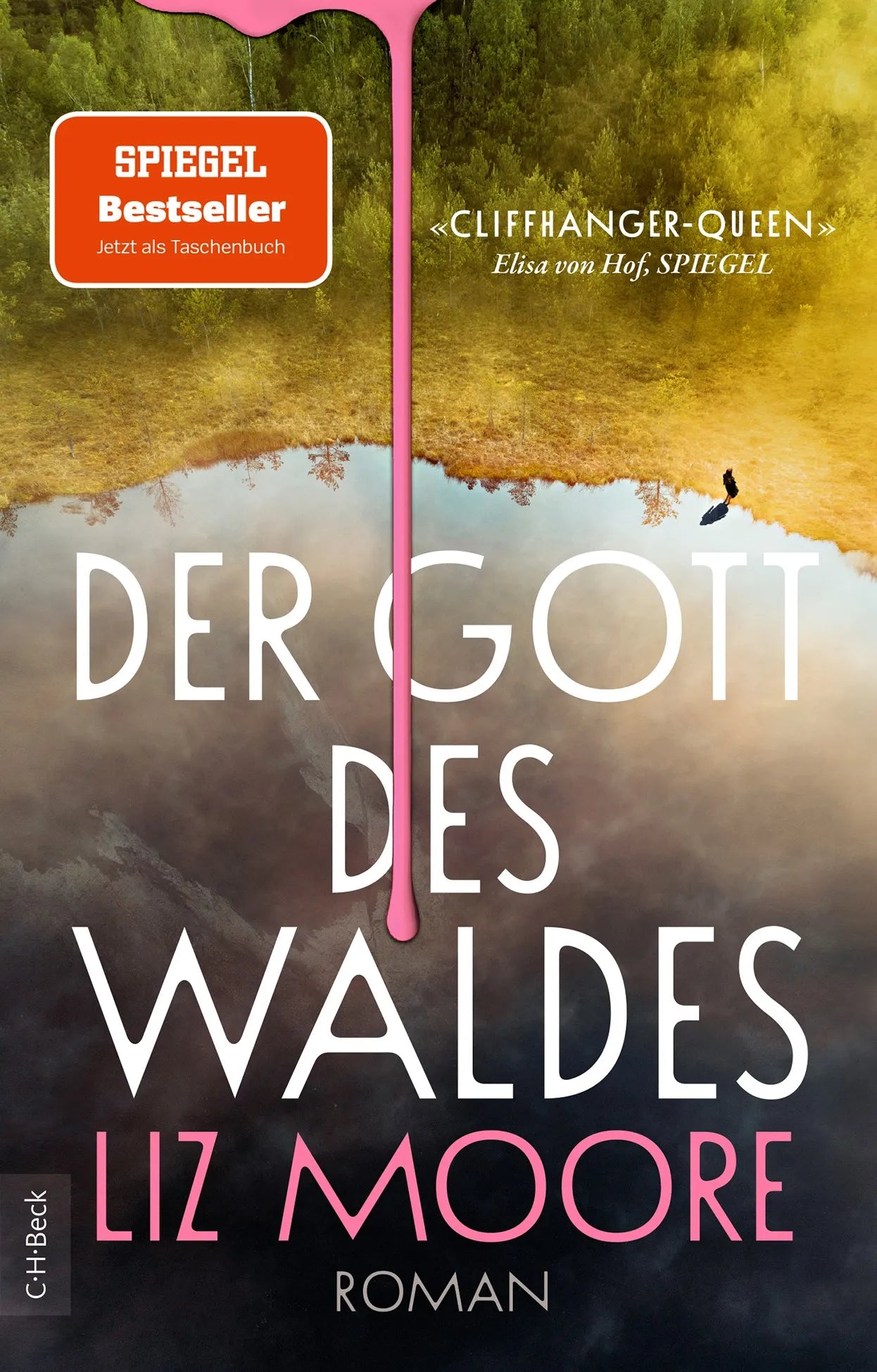 Cover: Der Gott des Waldes (Taschenbuch) von Liz Moore