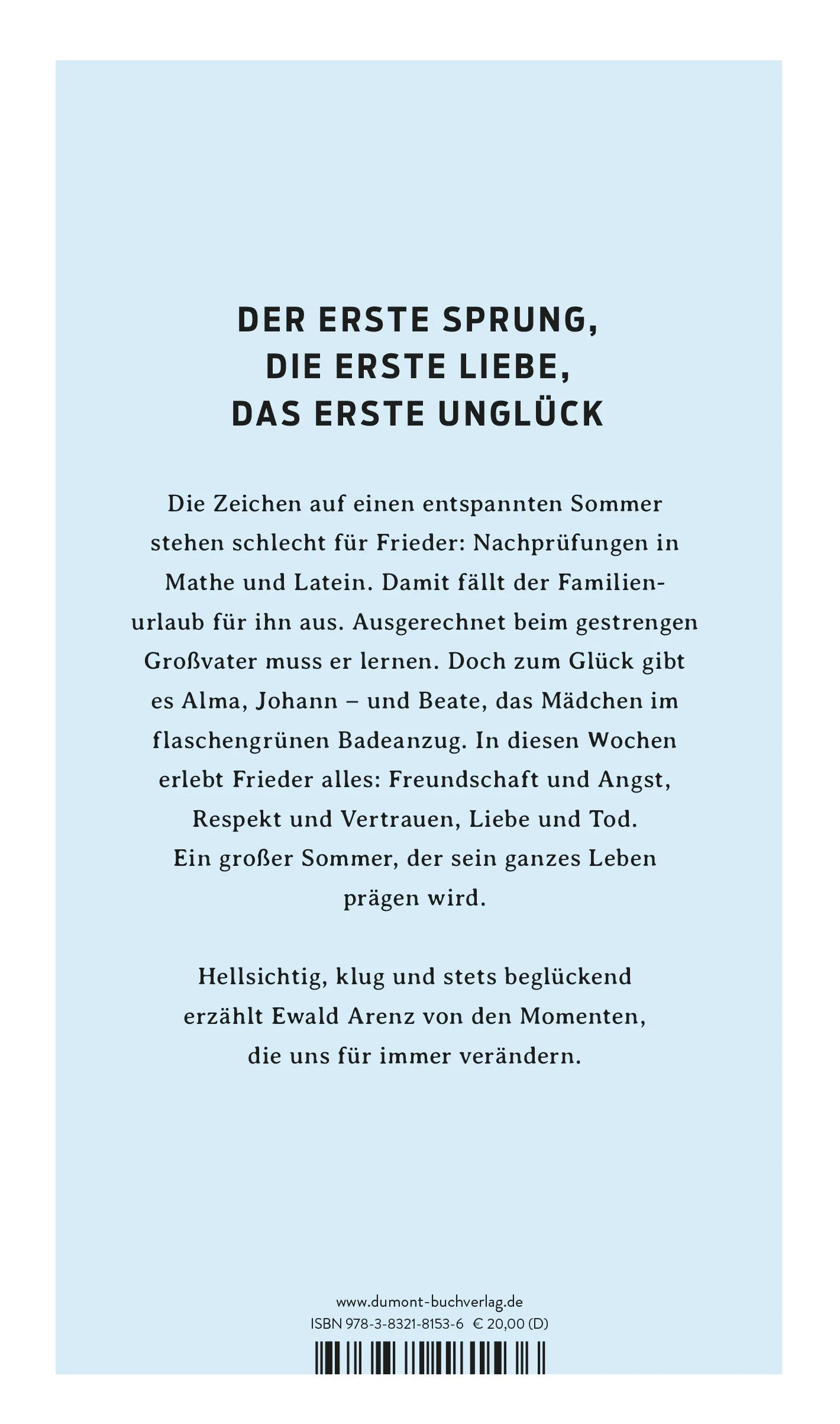 Buchrückseite von 'Der große Sommer' mit Klappentext - Gebundene Ausgabe