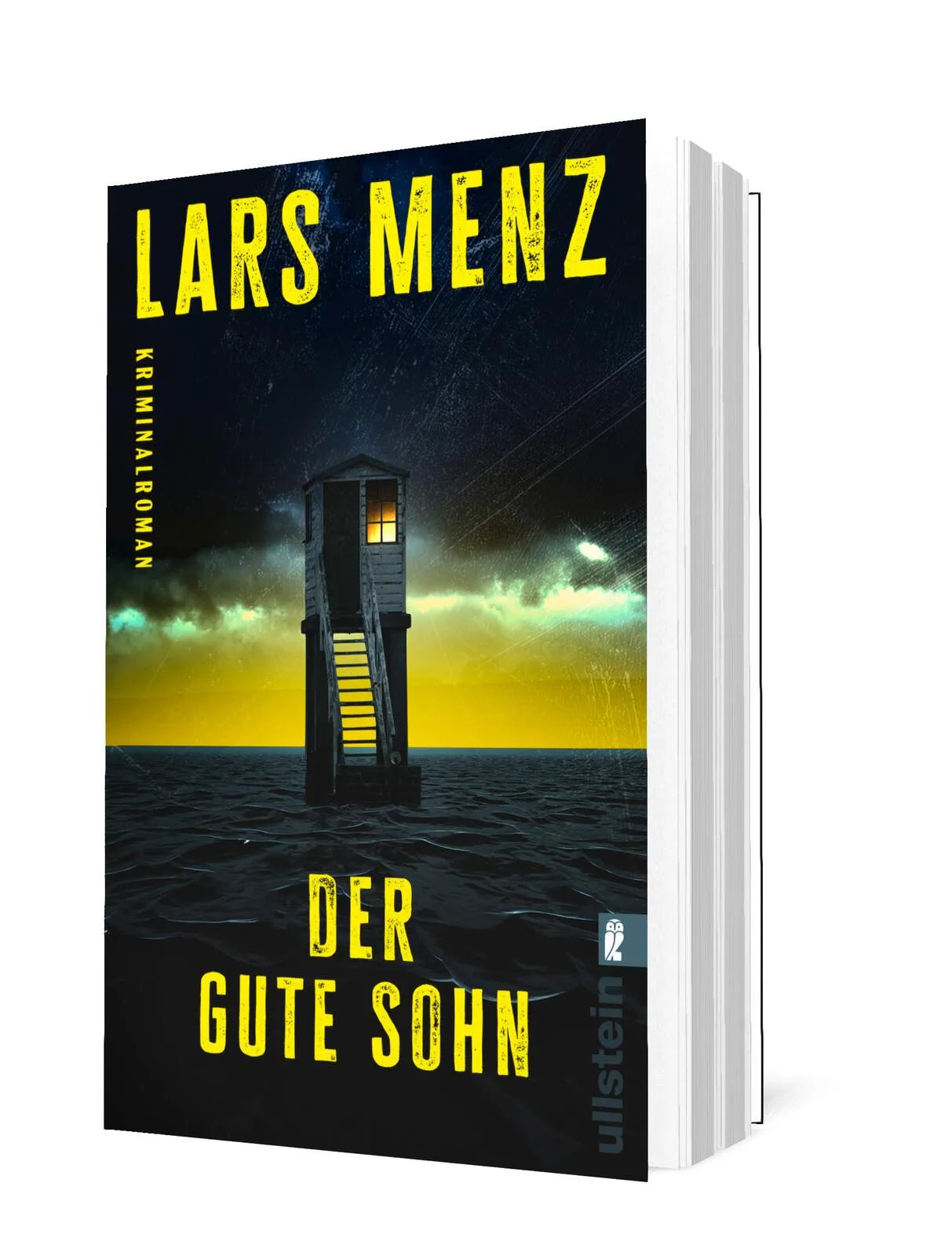 Detailansicht: Der gute Sohn (Paperback)