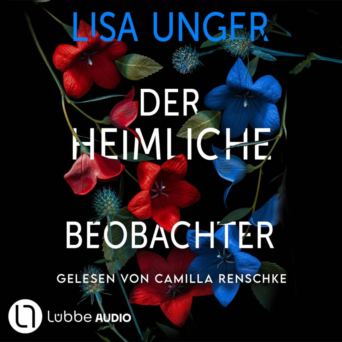 Cover: Der heimliche Beobachter (Hörbuch Download) von Lisa Unger