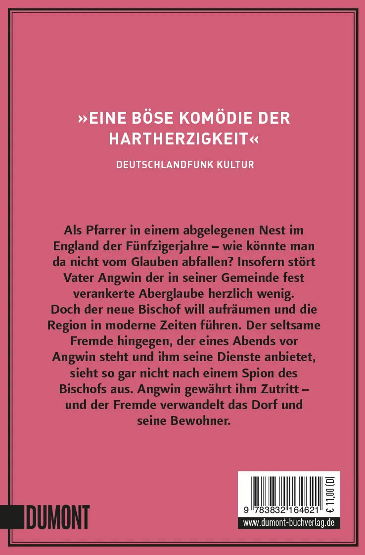 Buchrückseite von 'Der Hilfsprediger' mit Klappentext - Taschenbuch