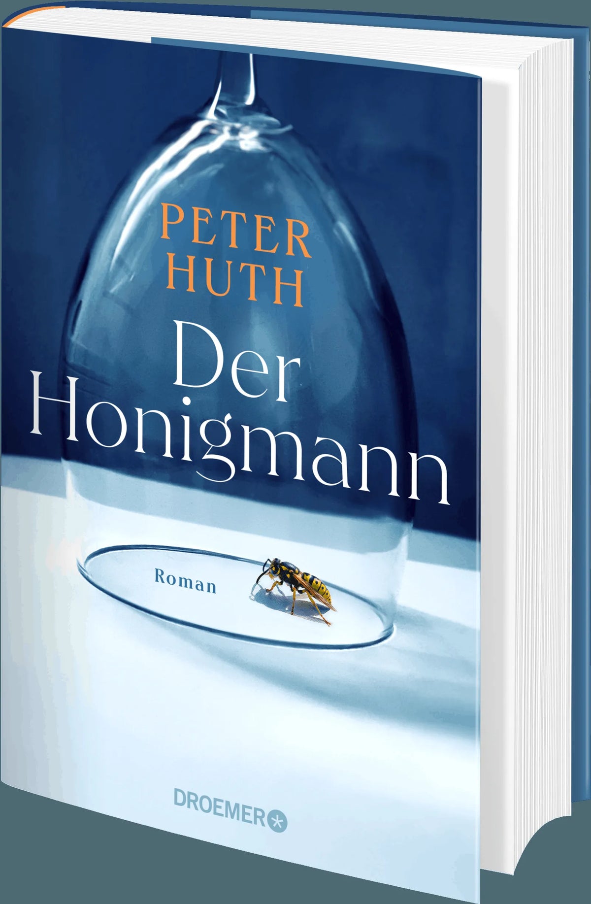Detailansicht: Der Honigmann (Hardcover)