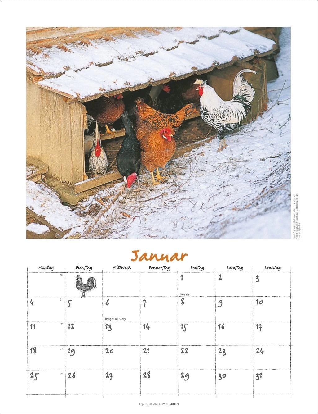 Der Hühnerkalender 2027 – Ansicht