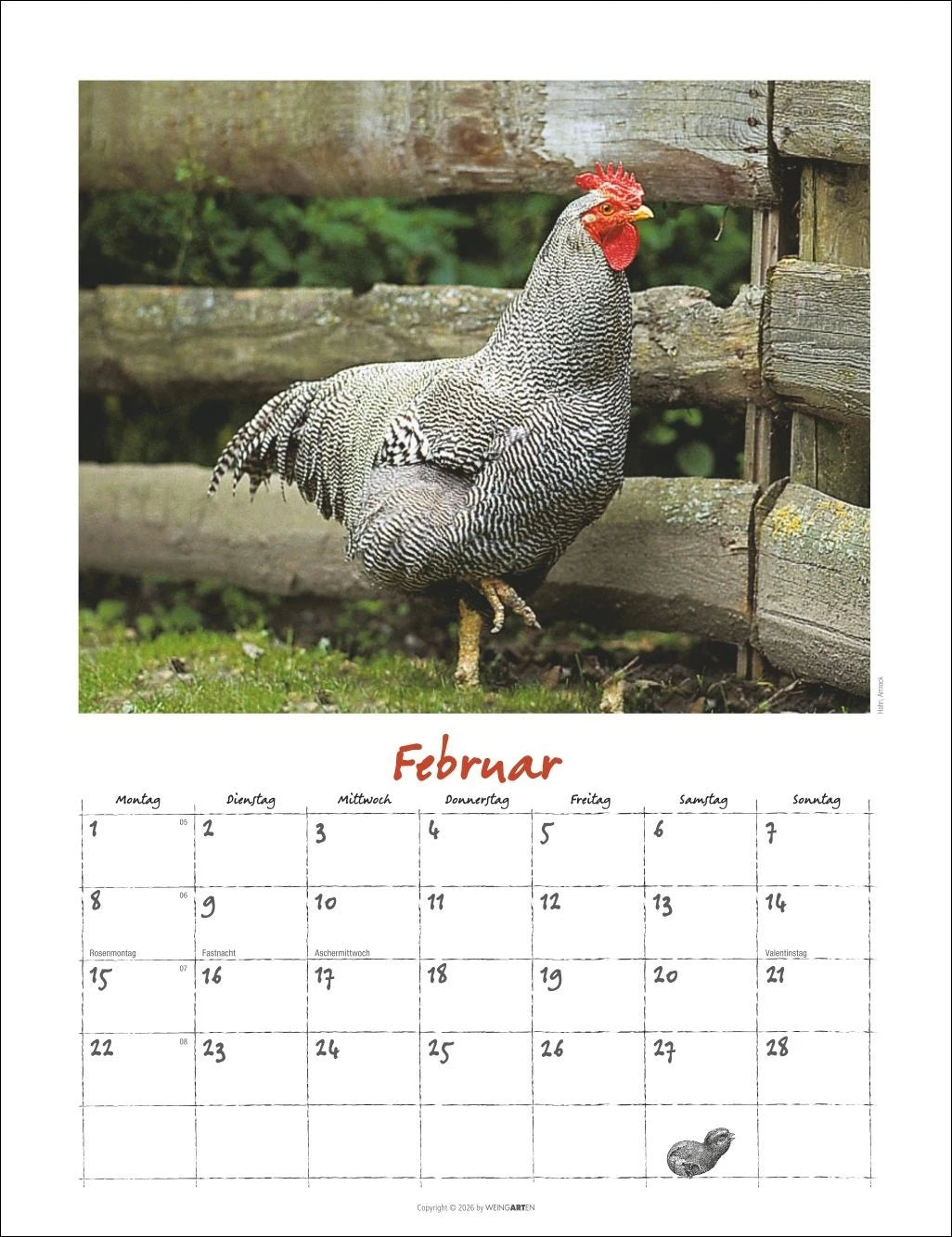 Der Hühnerkalender 2027 – Ansicht