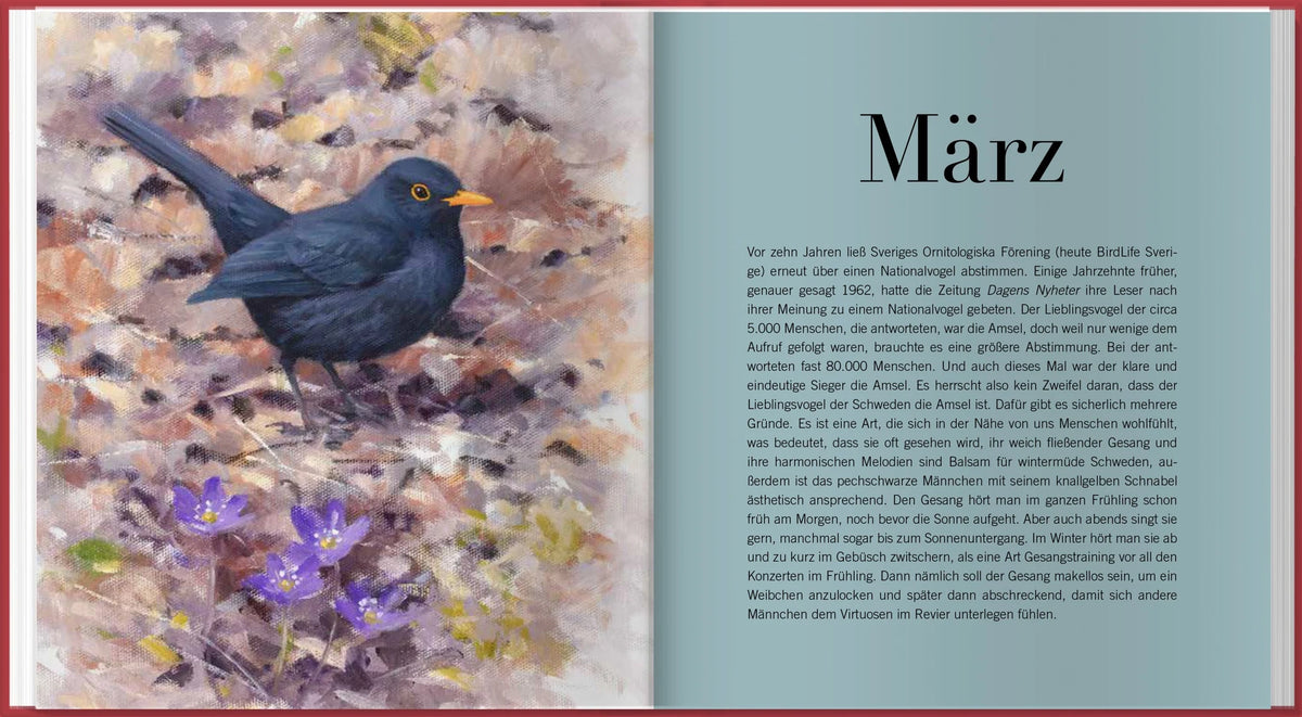 Der illustrierte Vogelkalender 2027 – Ansicht
