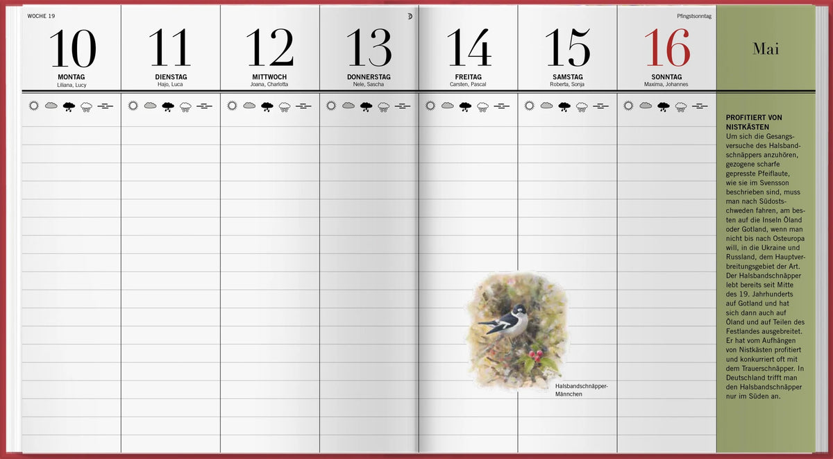 Der illustrierte Vogelkalender 2027 – Ansicht