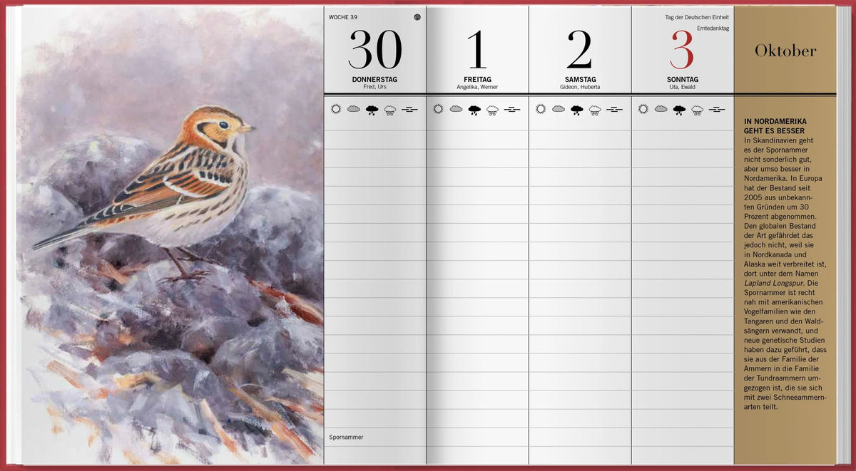 Der illustrierte Vogelkalender 2027 – Ansicht