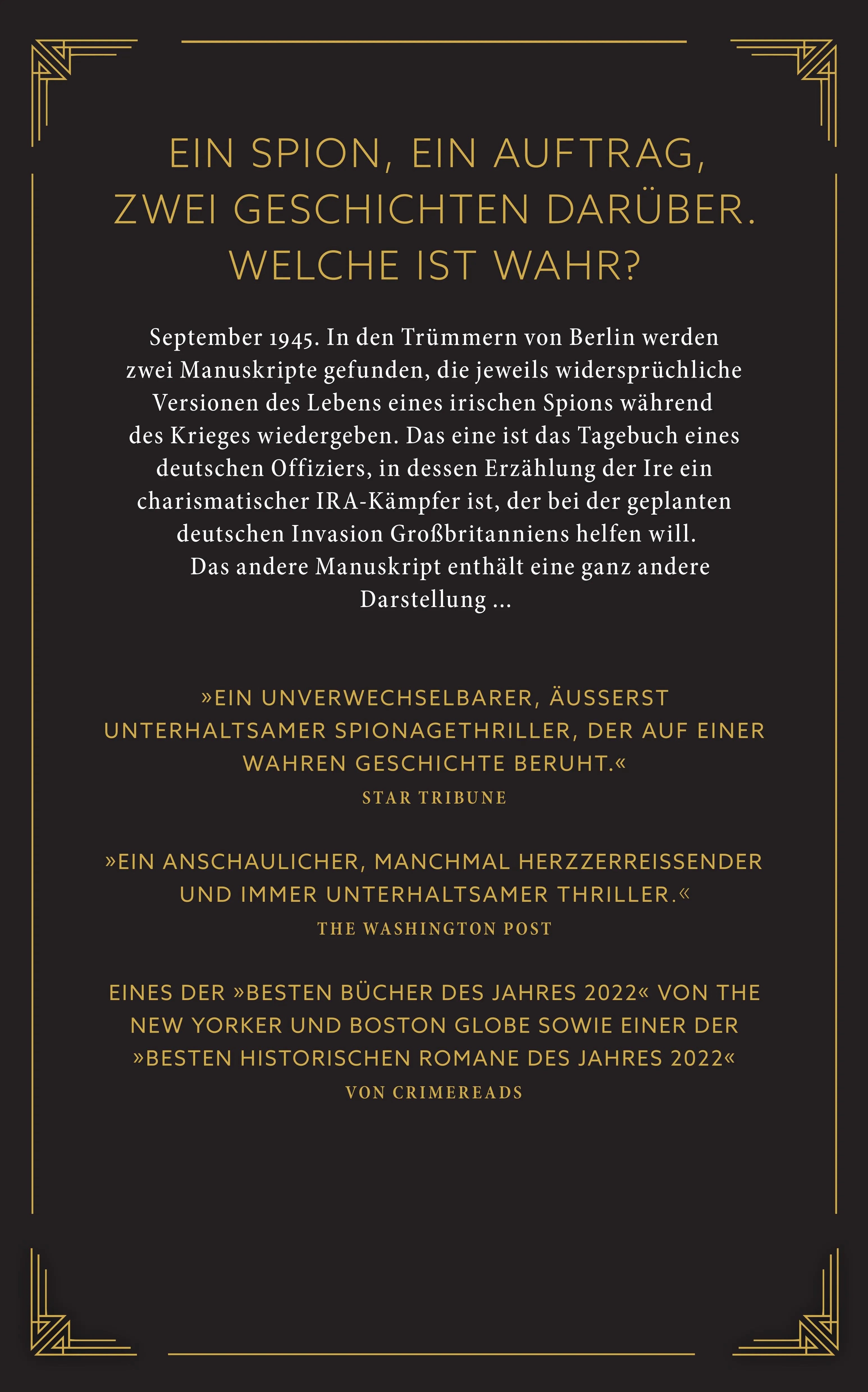 Buchrückseite von 'Der Ire' mit Klappentext - Paperback