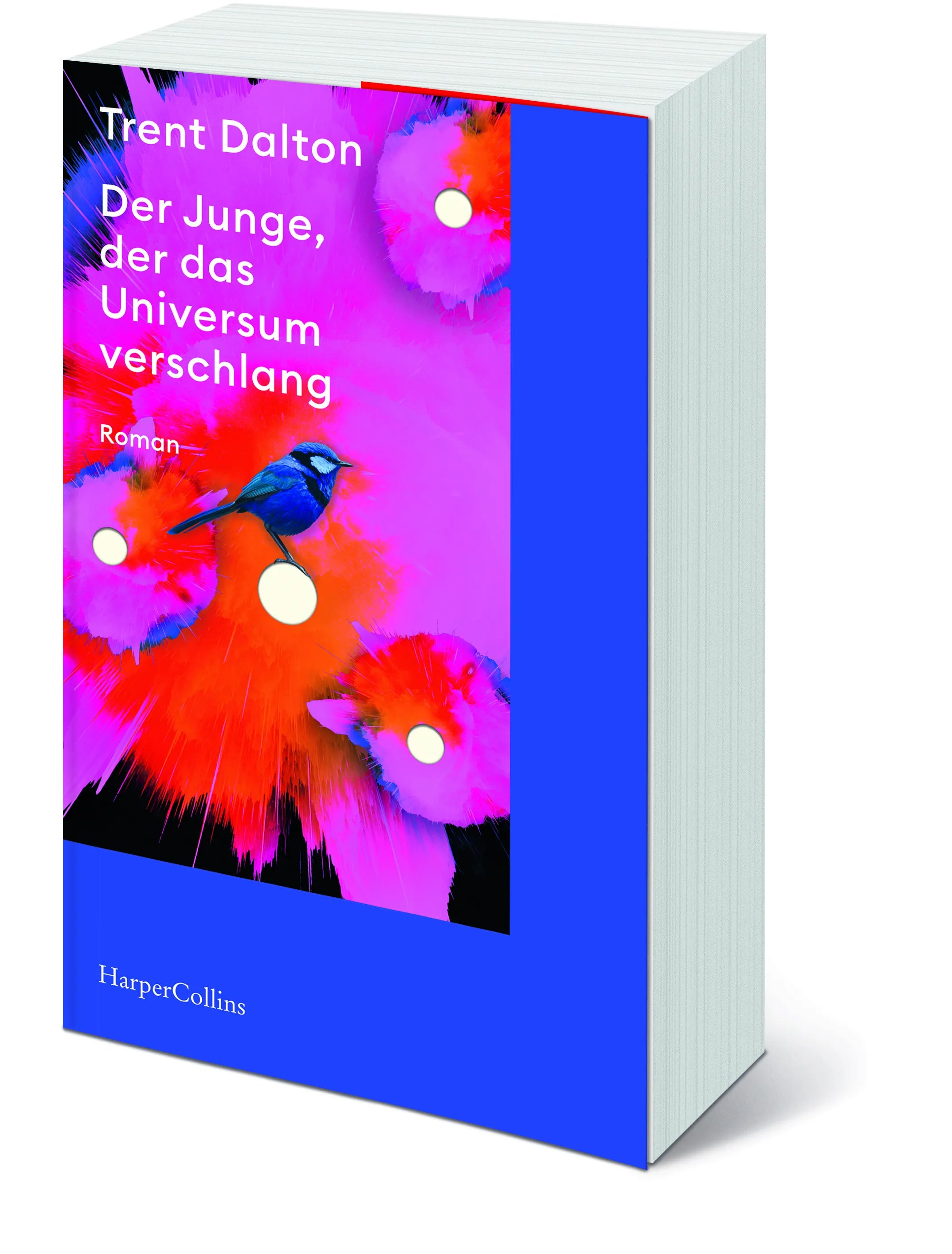 Trent Dalton - Der Junge, der das Universum verschlang