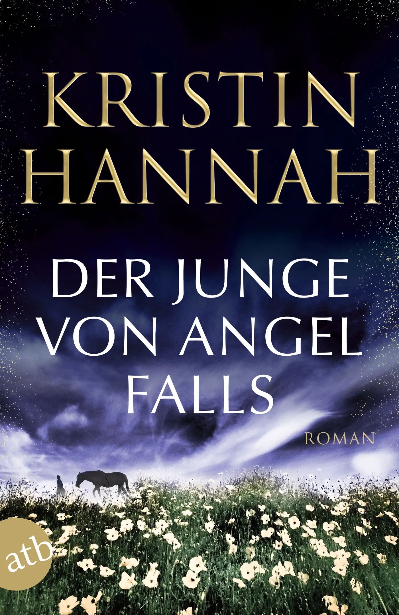 Buchcover von 'Der Junge von Angel Falls' - Taschenbuch von Kristin Hannah
