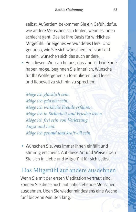 Detailansicht: Der kleine Alltagsbuddhist (Hardcover)