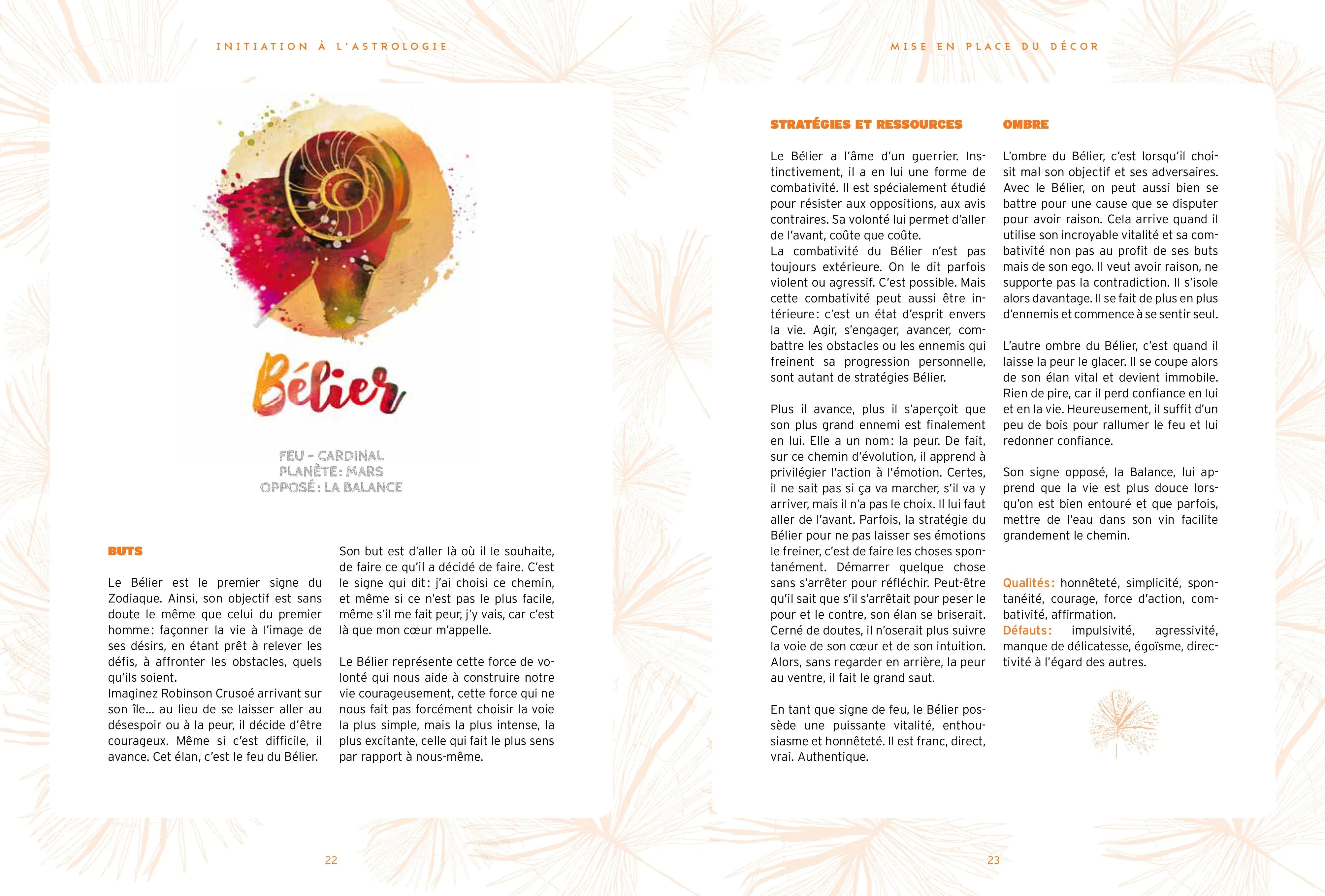 Detailansicht: Der kleine Astro-Guide (Taschenbuch)